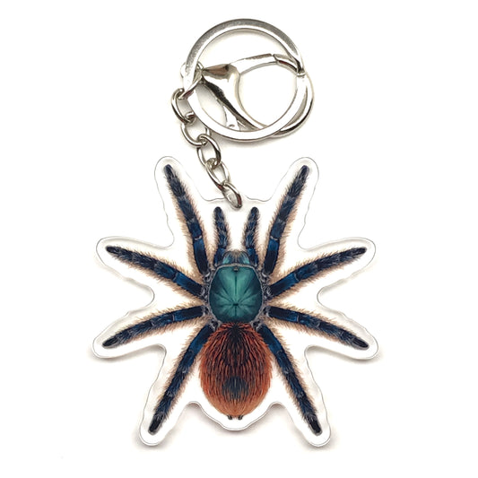 Jade Fuego Tarantula Keychain, Aphonopelma Mooreae Acrylic Charm from The Silk Ranch
