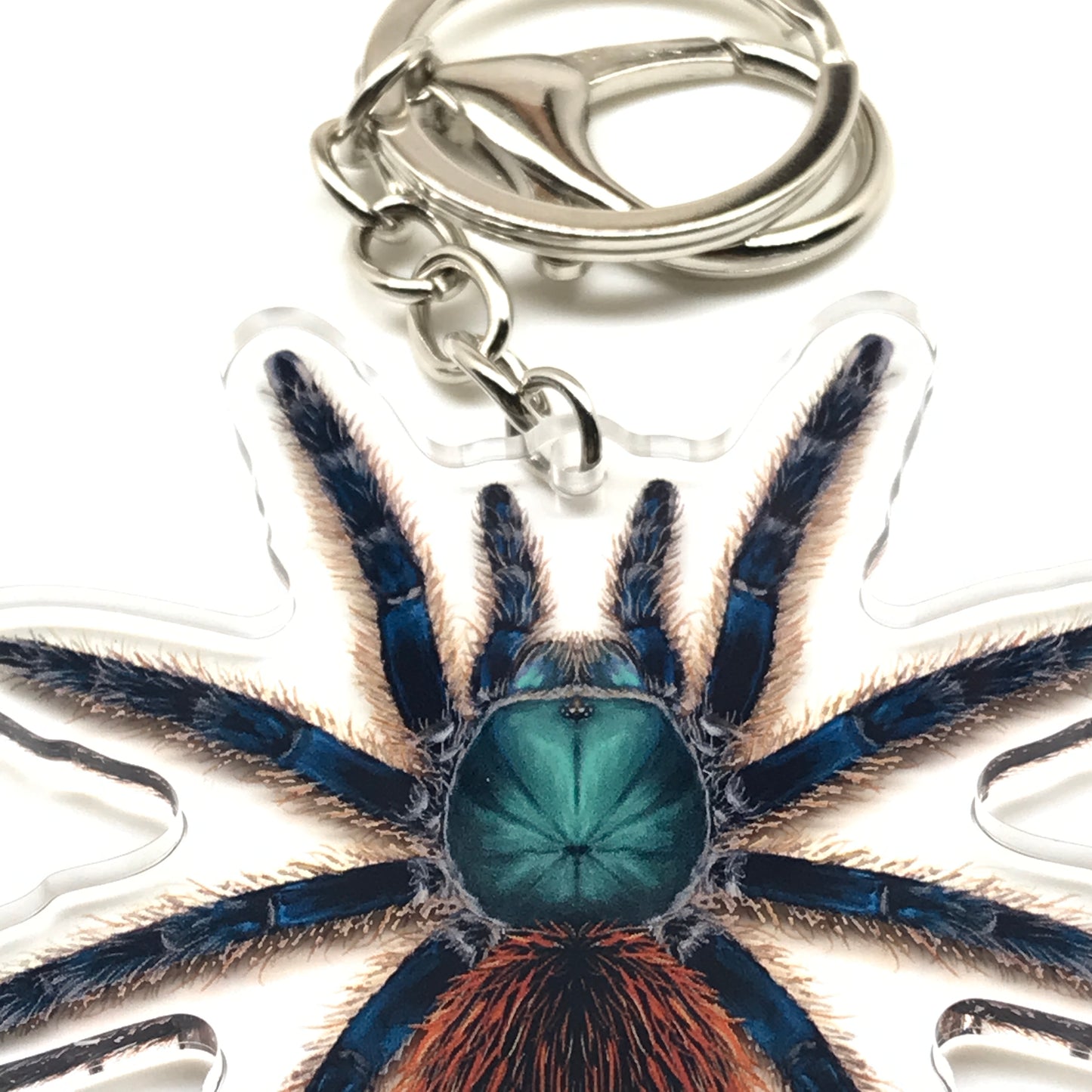 Jade Fuego Tarantula Keychain, Aphonopelma Mooreae Acrylic Charm from The Silk Ranch