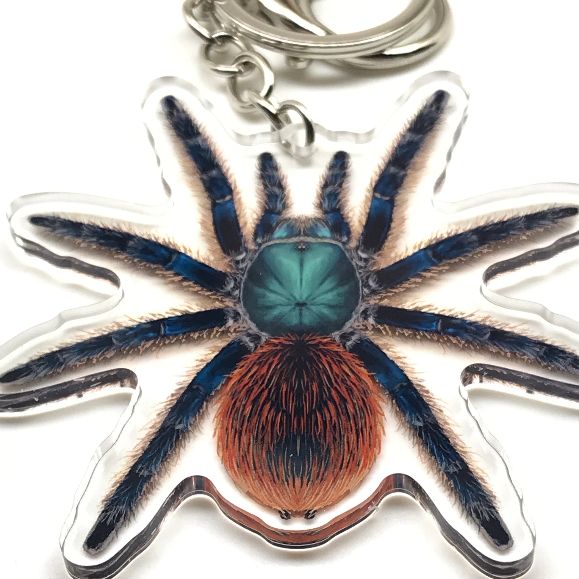 Jade Fuego Tarantula Keychain, Aphonopelma Mooreae Acrylic Charm from The Silk Ranch