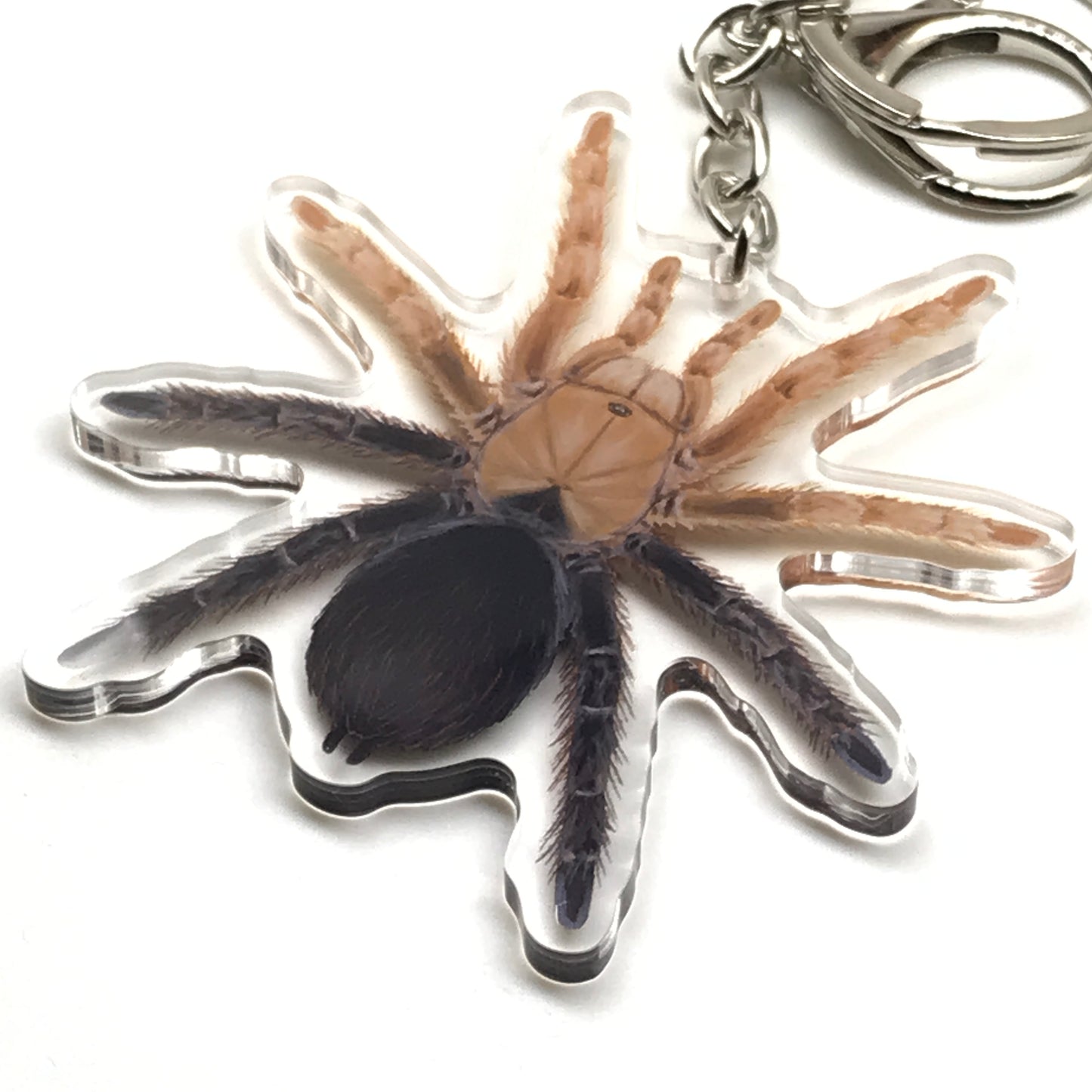 Acrylic keychain featuring a detailed Desert Diamondback Tarantula charm with an Aphonopelma sp. diamondback design from The Silk Ranch.