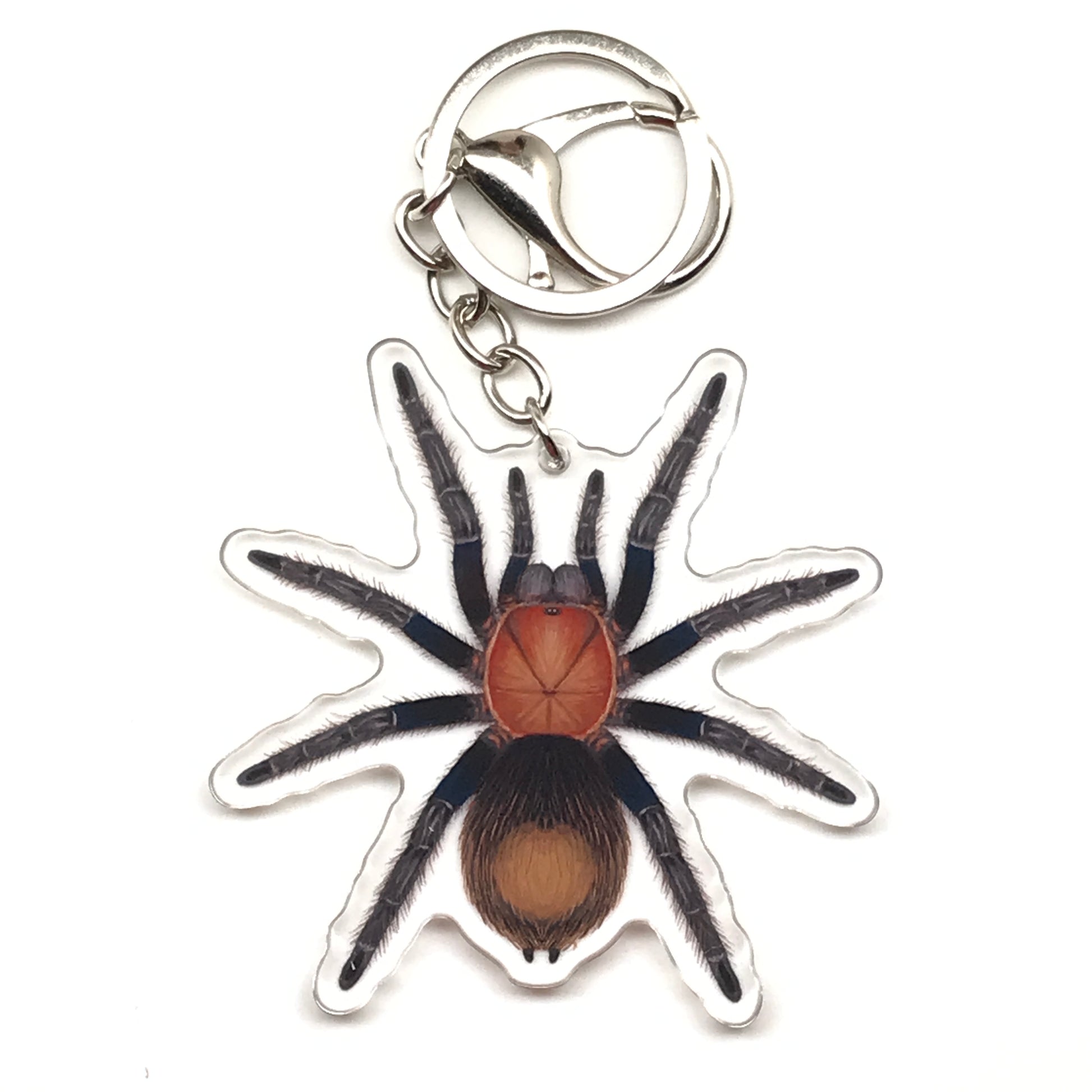 Mexican Copperhead Tarantula keychain by The Silk Ranch featuring Bonnetina Minax acrylic charm and detailed arachnid design.