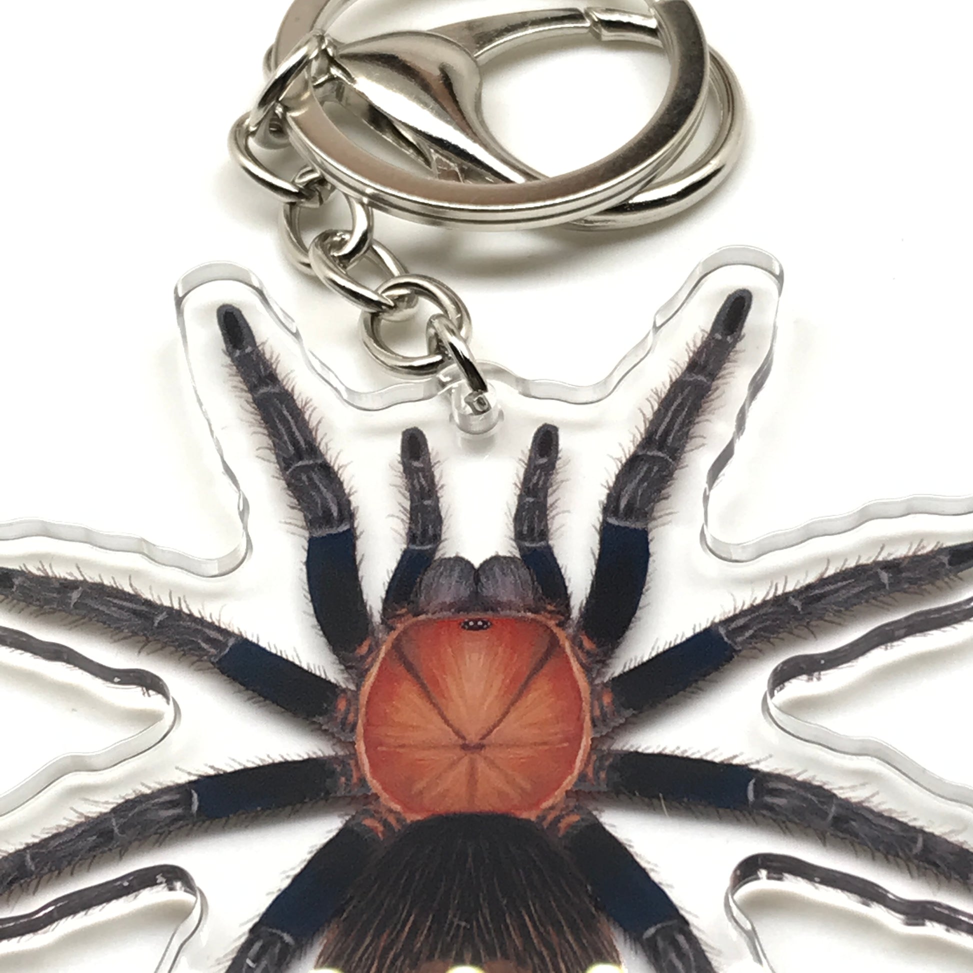 Mexican Copperhead Tarantula keychain by The Silk Ranch with Bonnetina Minax acrylic charm, showing detailed spider design.