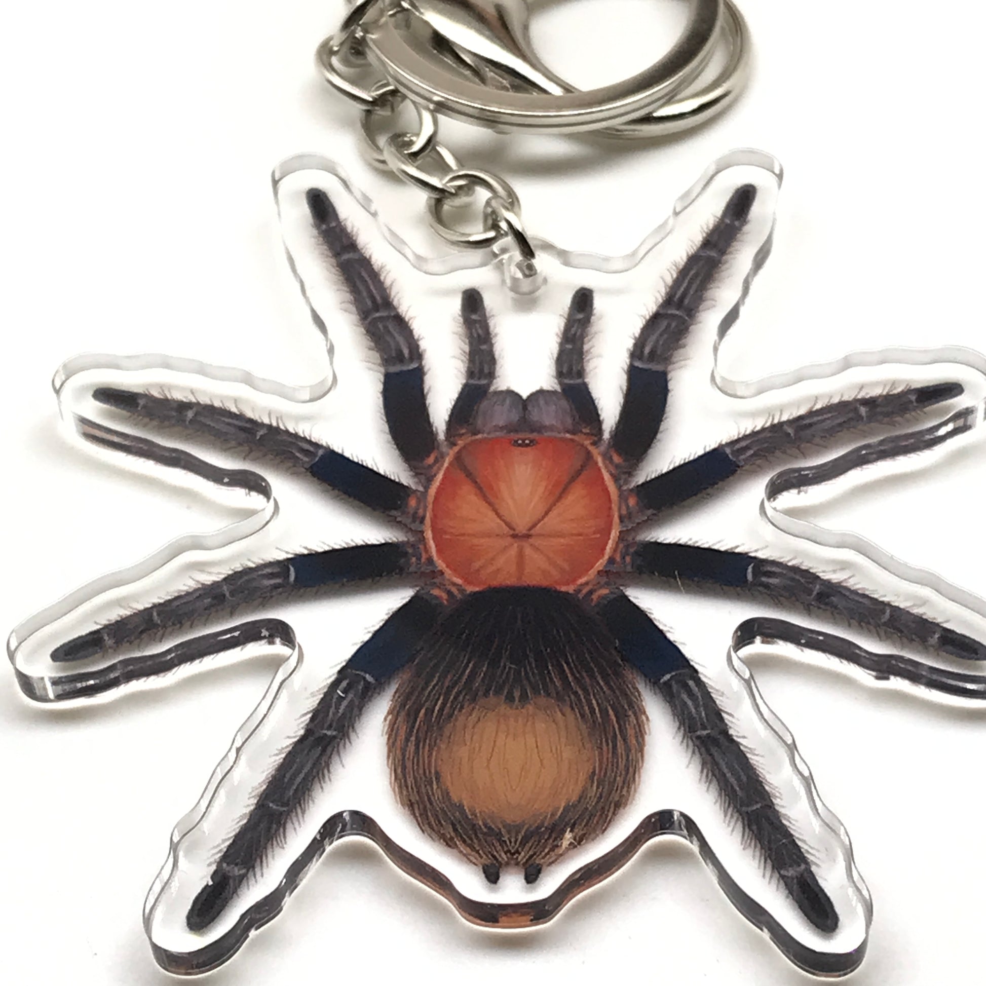 Mexican Copperhead Tarantula keychain with Bonnetina Minax acrylic charm, featuring detailed spider design from The Silk Ranch.