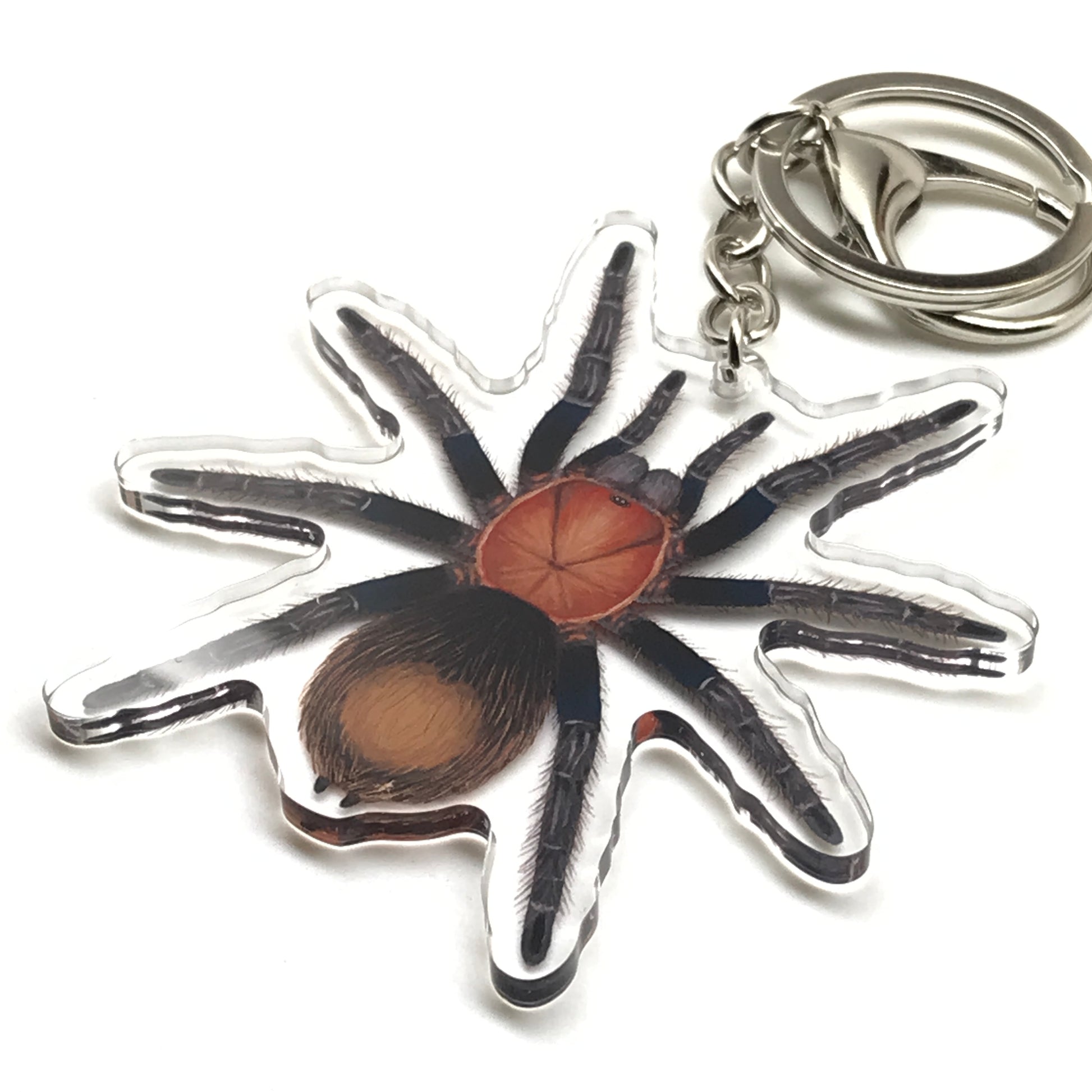 Mexican Copperhead Tarantula keychain featuring Bonnetina Minax acrylic charm, detailed and colorful insect accessory.