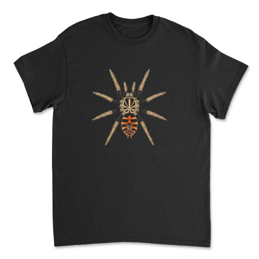 Dwarf Crowned Tiger Tarantula Davus sp. Chiapas art T-shirt by Mingo Art, featuring a detailed spider illustration on a black T-shirt.