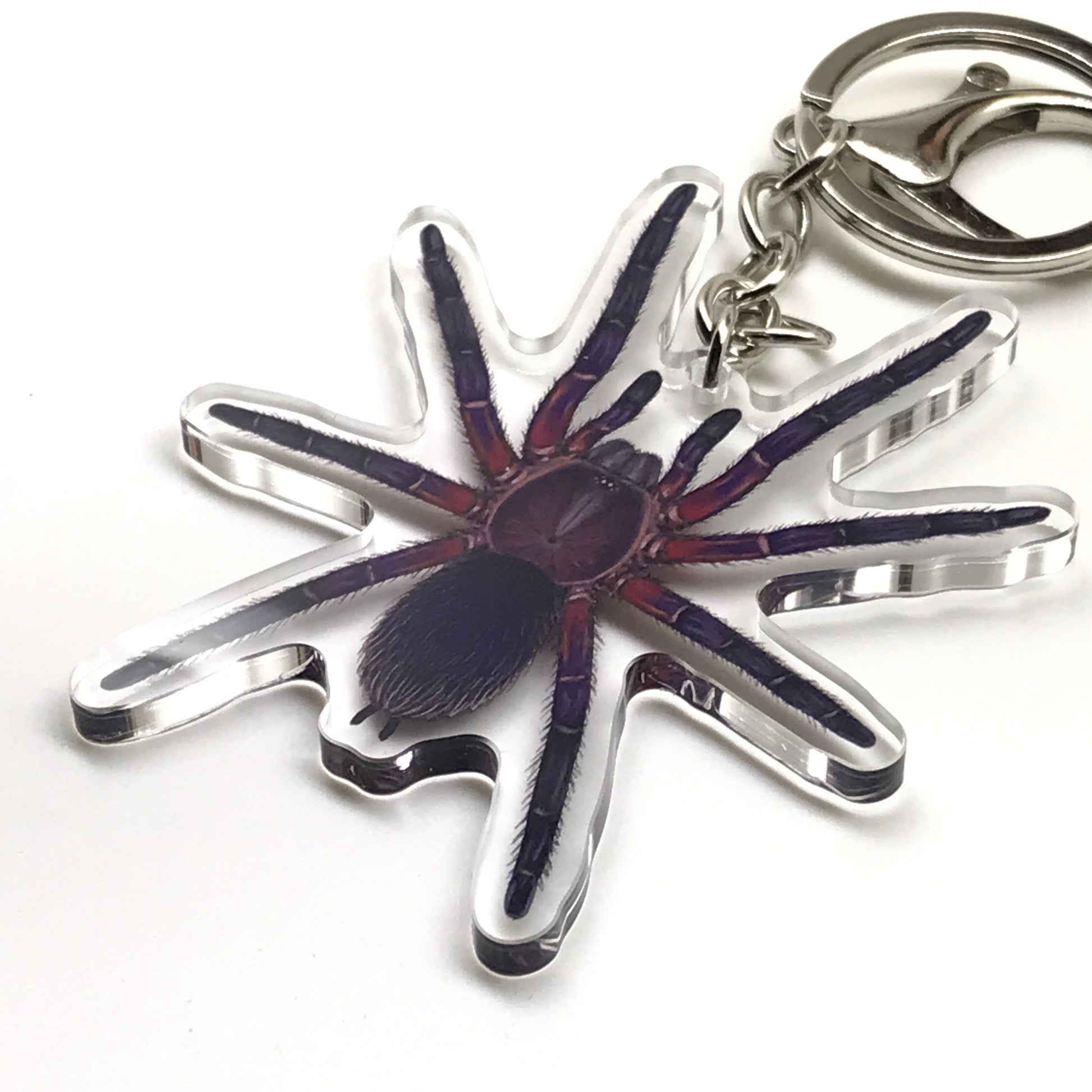 Neon Purple Black Tarantula Keychain, Dolichothele Rufoniger Acrylic Charm from The Silk Ranch