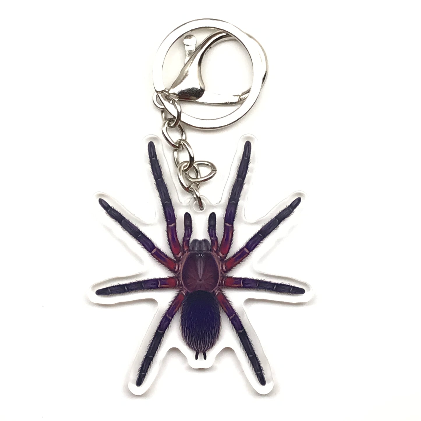 Neon Purple Black Tarantula Keychain, Dolichothele Rufoniger Acrylic Charm from The Silk Ranch