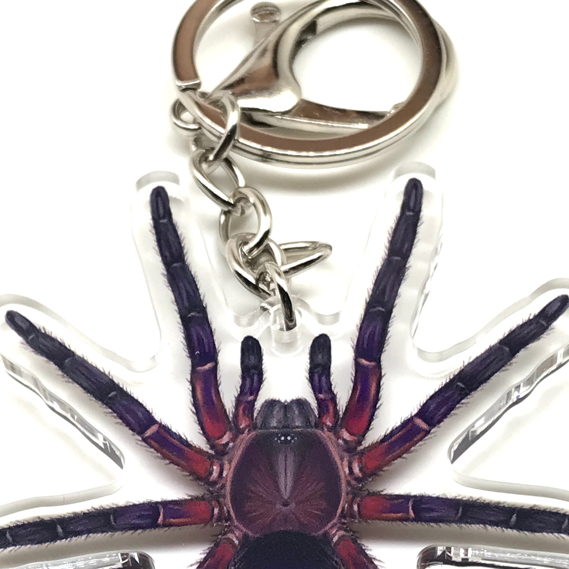 Neon Purple Black Tarantula Keychain, Dolichothele Rufoniger Acrylic Charm from The Silk Ranch