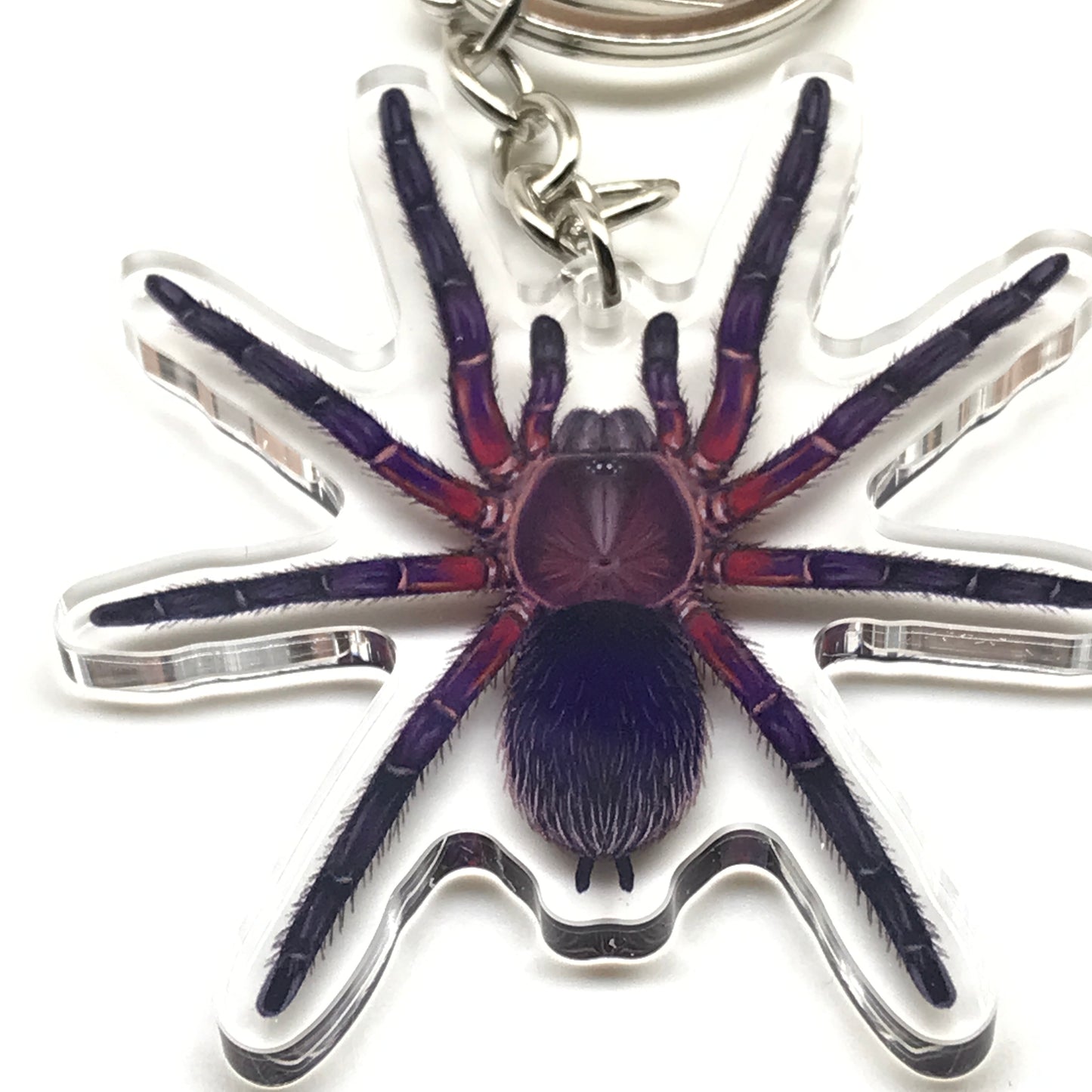 Neon Purple Black Tarantula Keychain, Dolichothele Rufoniger Acrylic Charm from The Silk Ranch