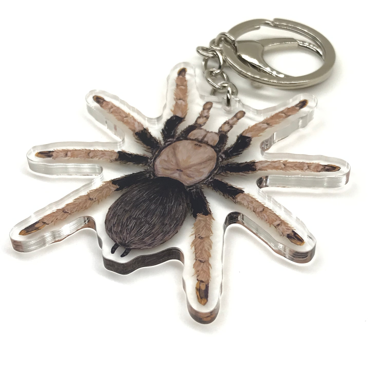 Arizona Blonde Tarantula Keychain, Aphonopelma Chalcodes Acrylic Charm from The Silk Ranch