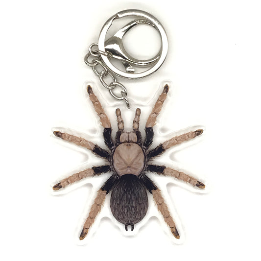 Arizona Blonde Tarantula Keychain, Aphonopelma Chalcodes Acrylic Charm from The Silk Ranch