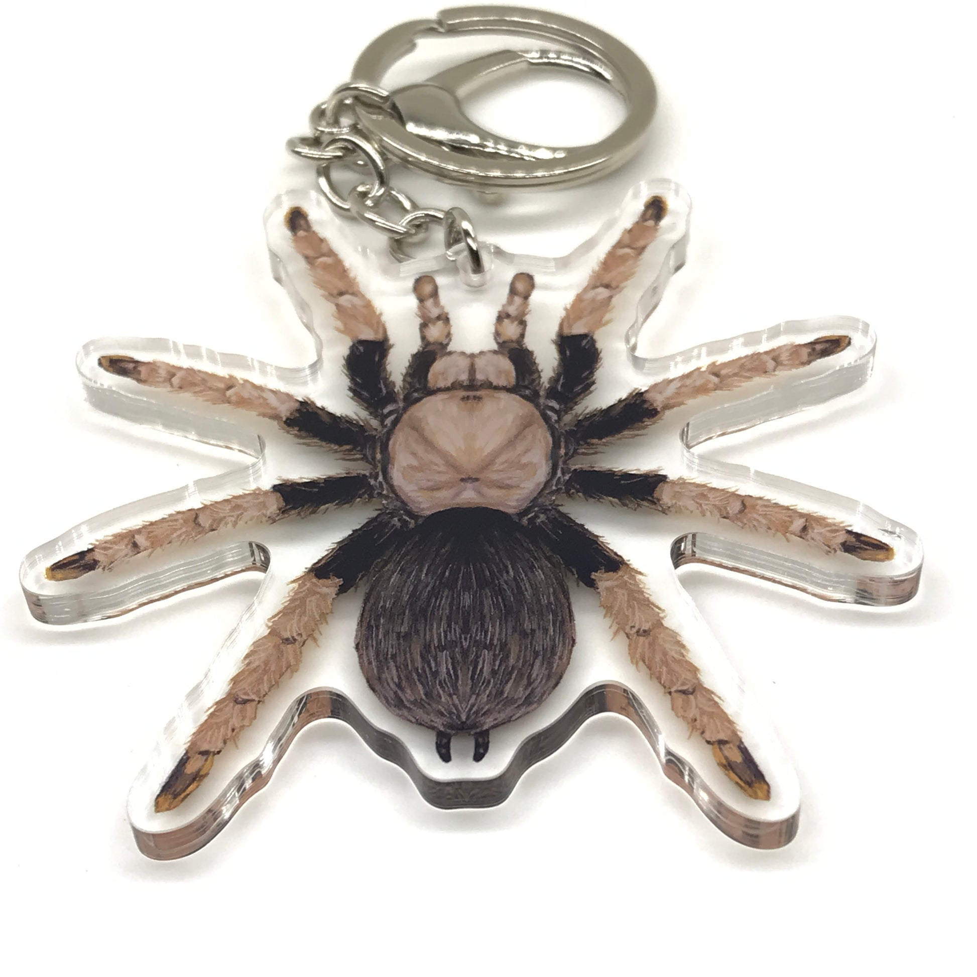 Arizona Blonde Tarantula Keychain, Aphonopelma Chalcodes Acrylic Charm from The Silk Ranch