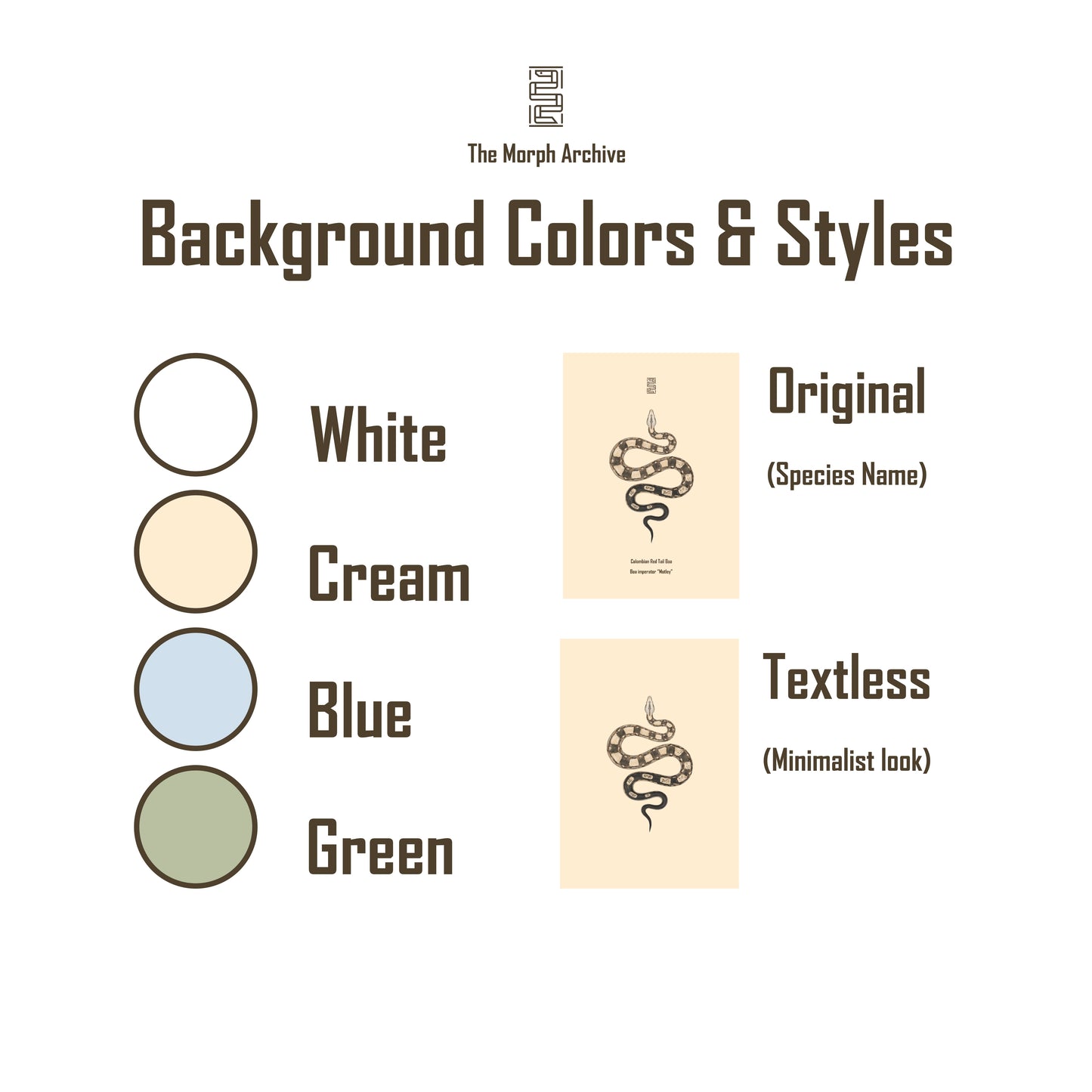 Labyrinth Burmese Python (Python bivittatus) Art Print from The Silk Ranch