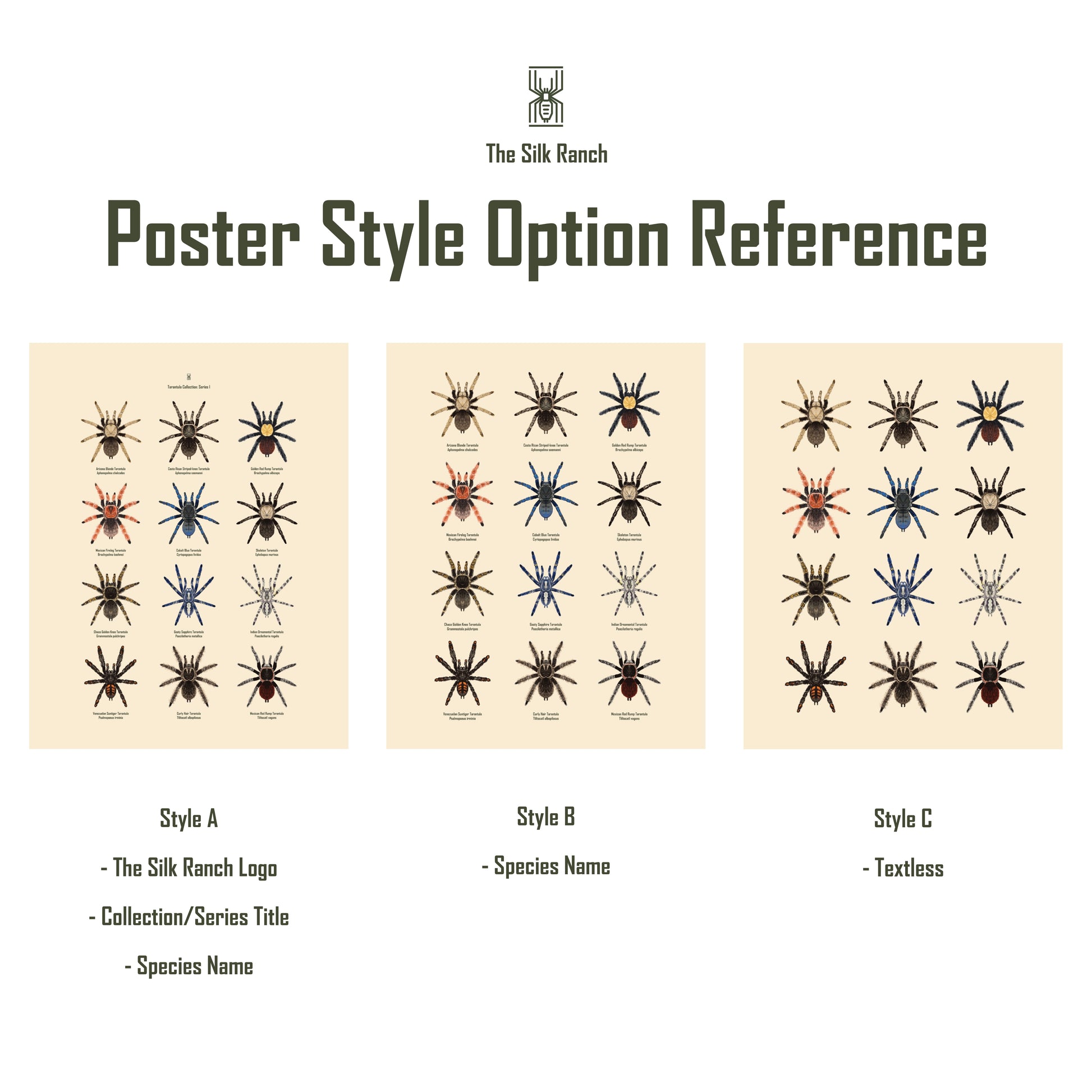 Isopod Series 1 art poster by The Silk Ranch featuring detailed illustrations of isopods on a white background.