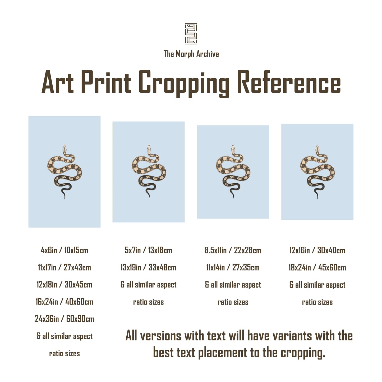 Anthony’s Poison Arrow Frog (Epipedobates anthonyi “Santa Isabel”) Art Print from The Silk Ranch