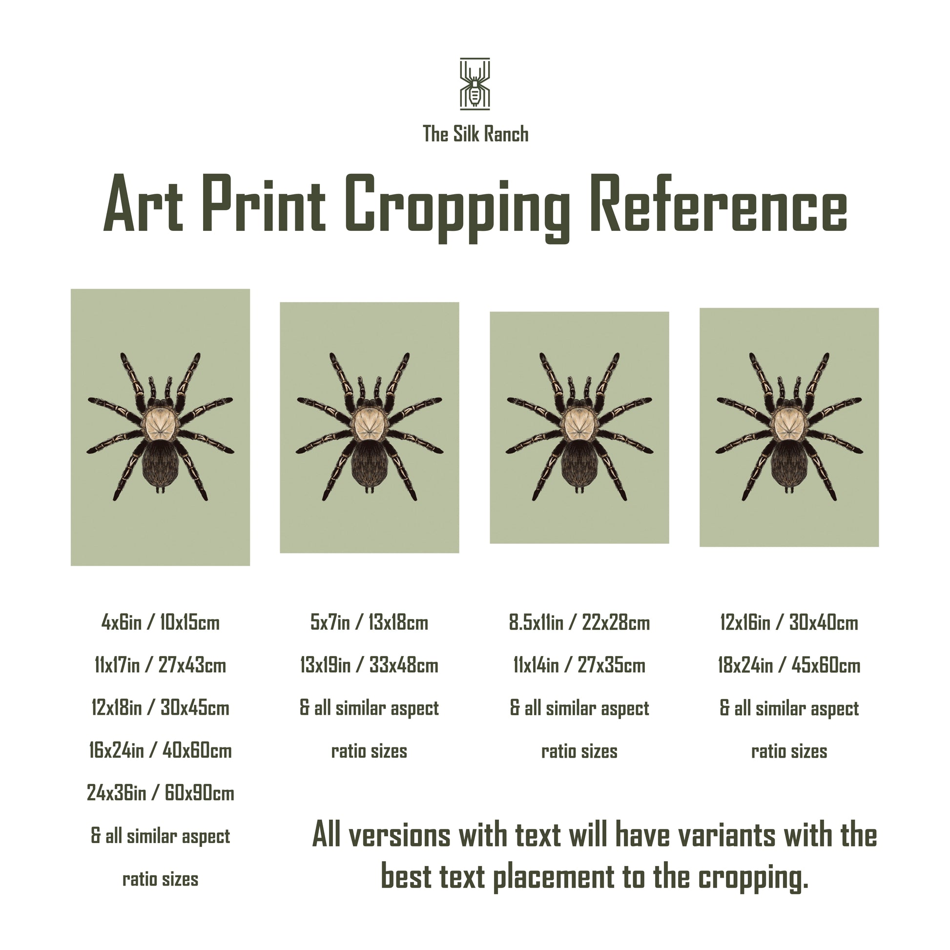 Amazon Ribbed Tarantula (Iridopelma hirsutum) Photographic Art Print from The Silk Ranch