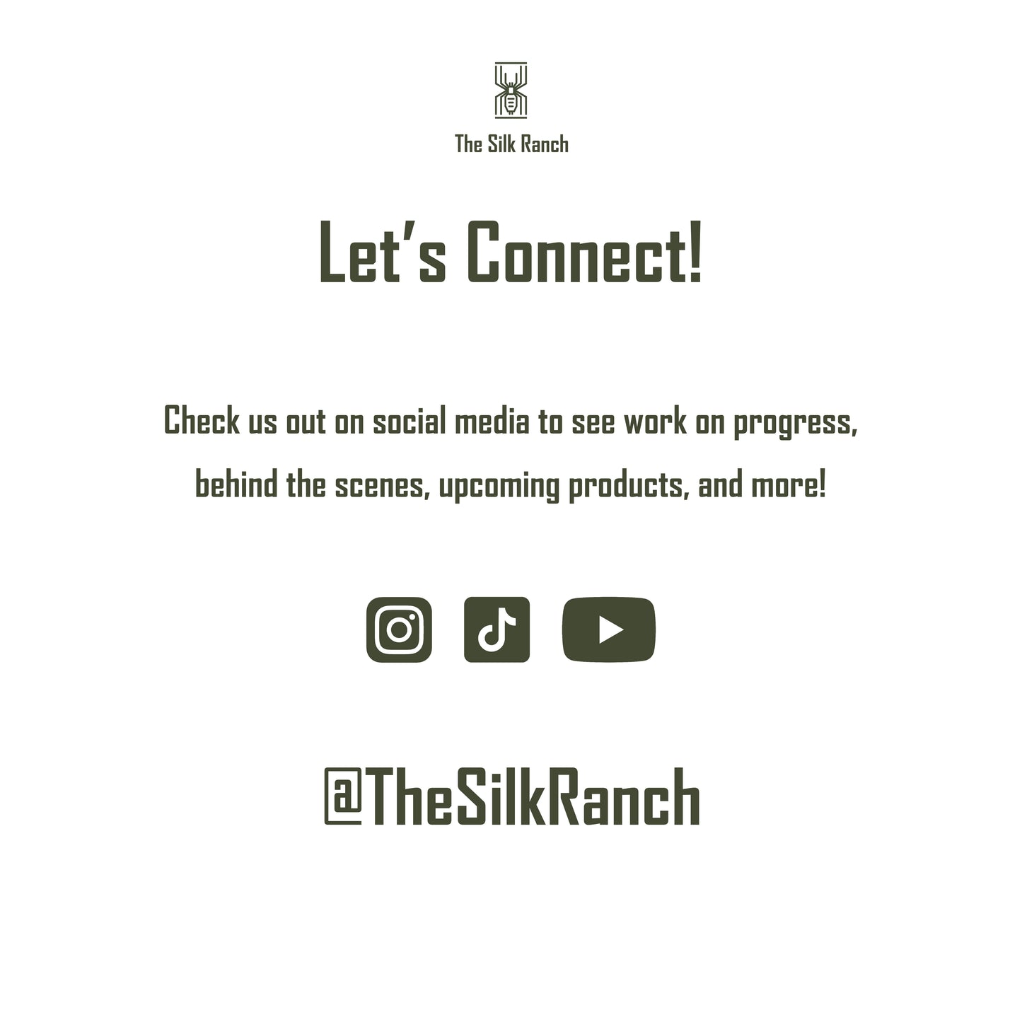 Vietnam Silver Tarantula Sticker, Ornithoctoninae Sp. Vietnam Silver Waterproof Vinyl Sticker from The Silk Ranch