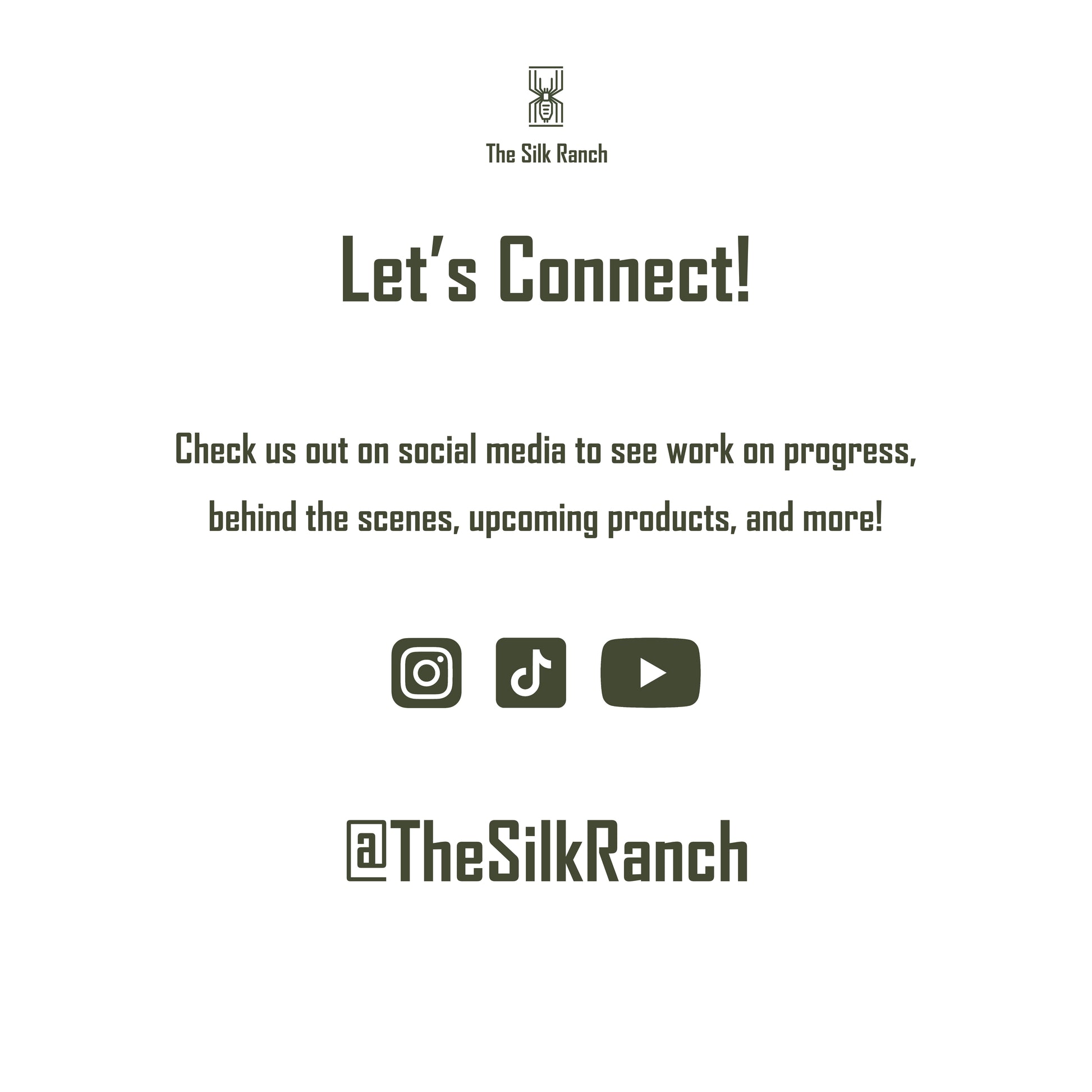 Vietnam Silver Tarantula Sticker, Ornithoctoninae Sp. Vietnam Silver Waterproof Vinyl Sticker from The Silk Ranch