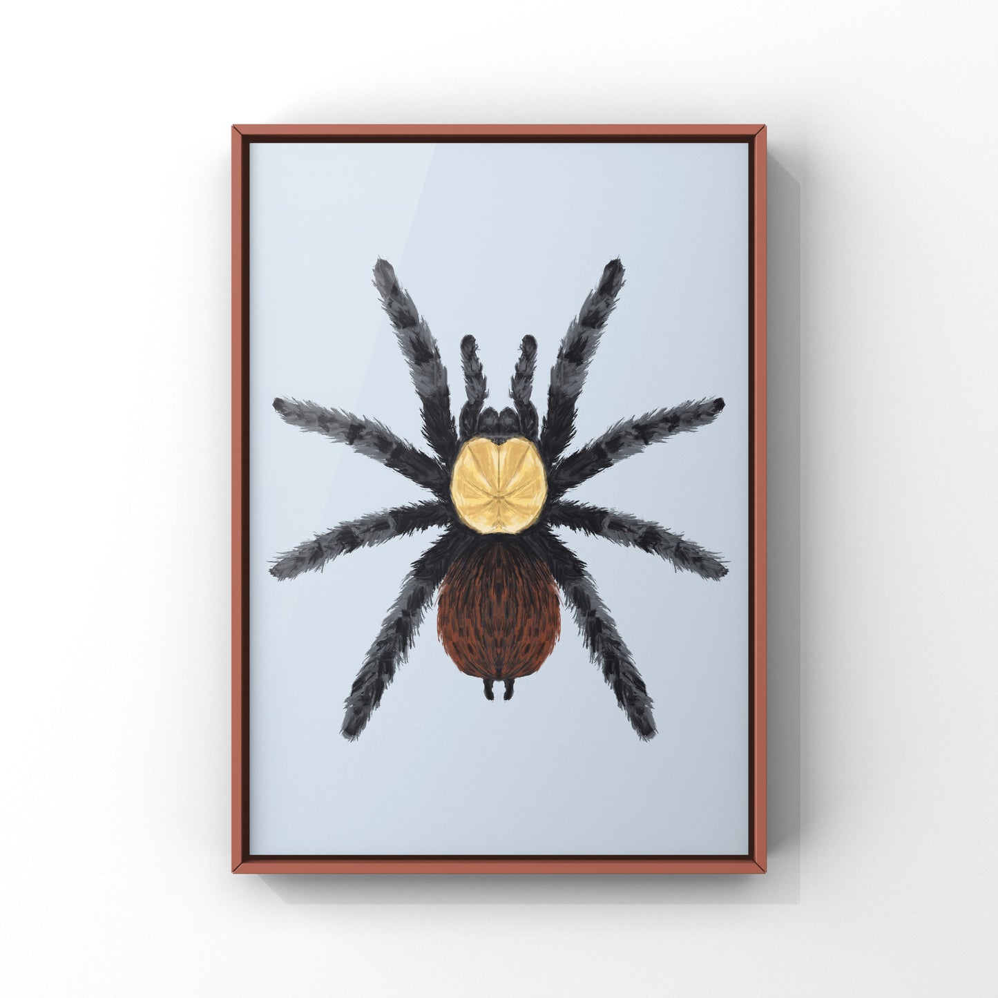 Golden Red Rump Tarantula, Brachypelma Albiceps, Photographic Art Print from The Silk Ranch