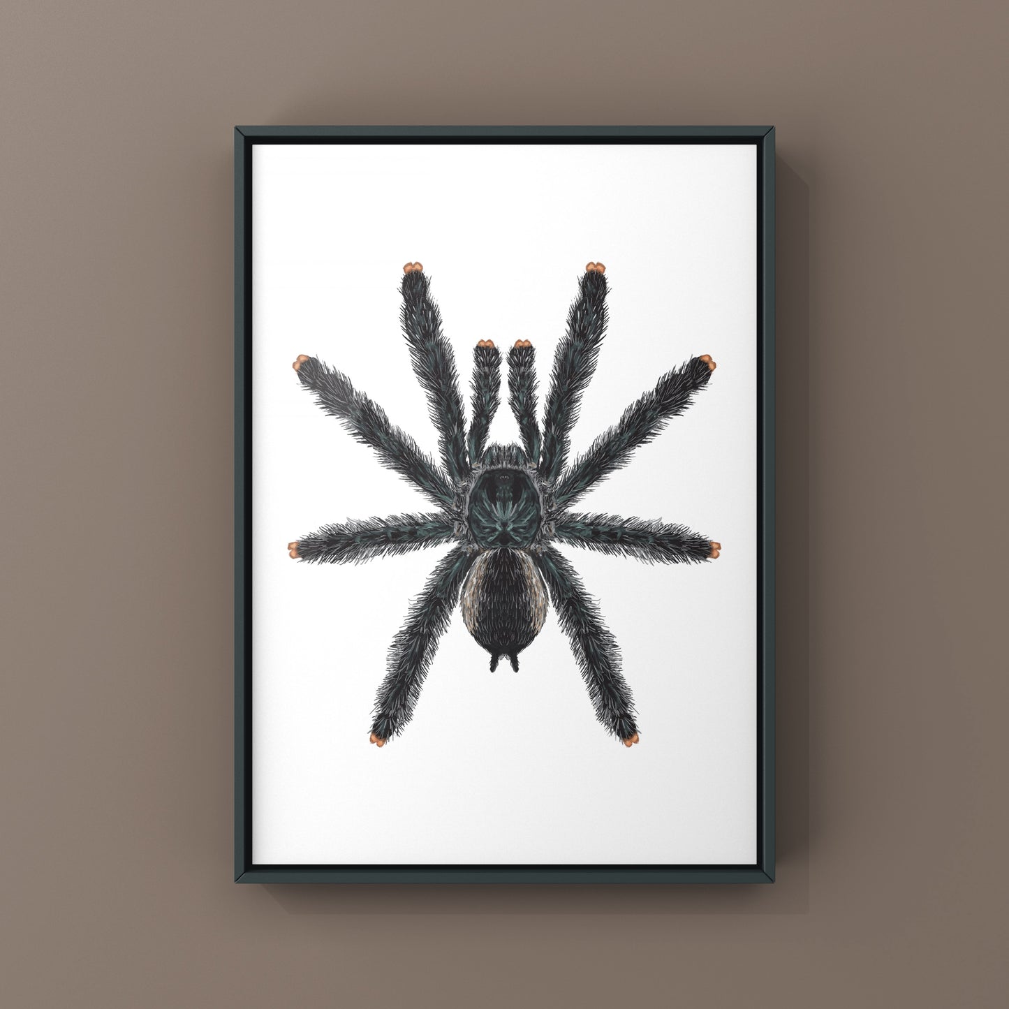 Guyana Pinktoe Tarantula, Avicularia Avicularia, Photographic Art Print from The Silk Ranch