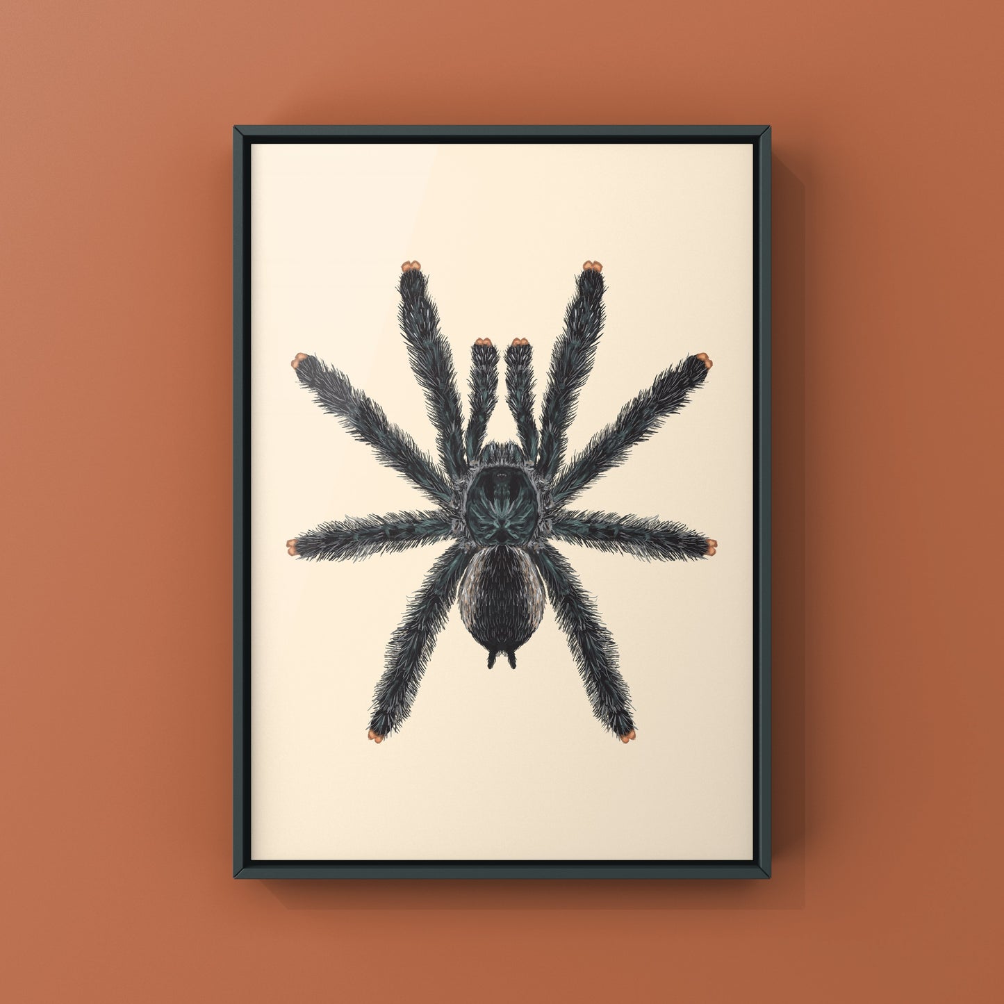 Guyana Pinktoe Tarantula, Avicularia Avicularia, Photographic Art Print from The Silk Ranch