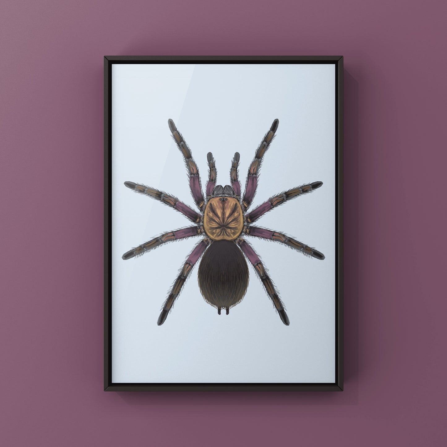 Punta Cana Birdeater Tarantula, Phormictopus sp. Oriente, Photographic Art Print from The Silk Ranch
