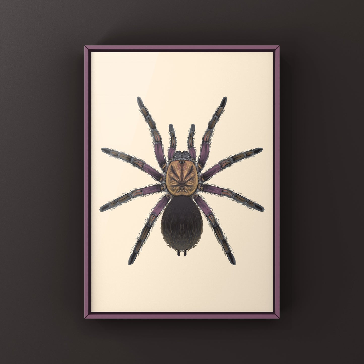 Punta Cana Birdeater Tarantula, Phormictopus sp. Oriente, Photographic Art Print from The Silk Ranch