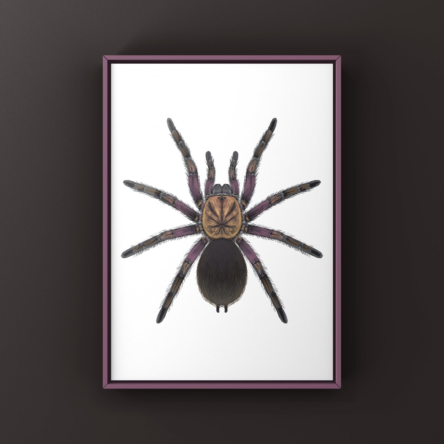Punta Cana Birdeater Tarantula, Phormictopus sp. Oriente, Photographic Art Print from The Silk Ranch