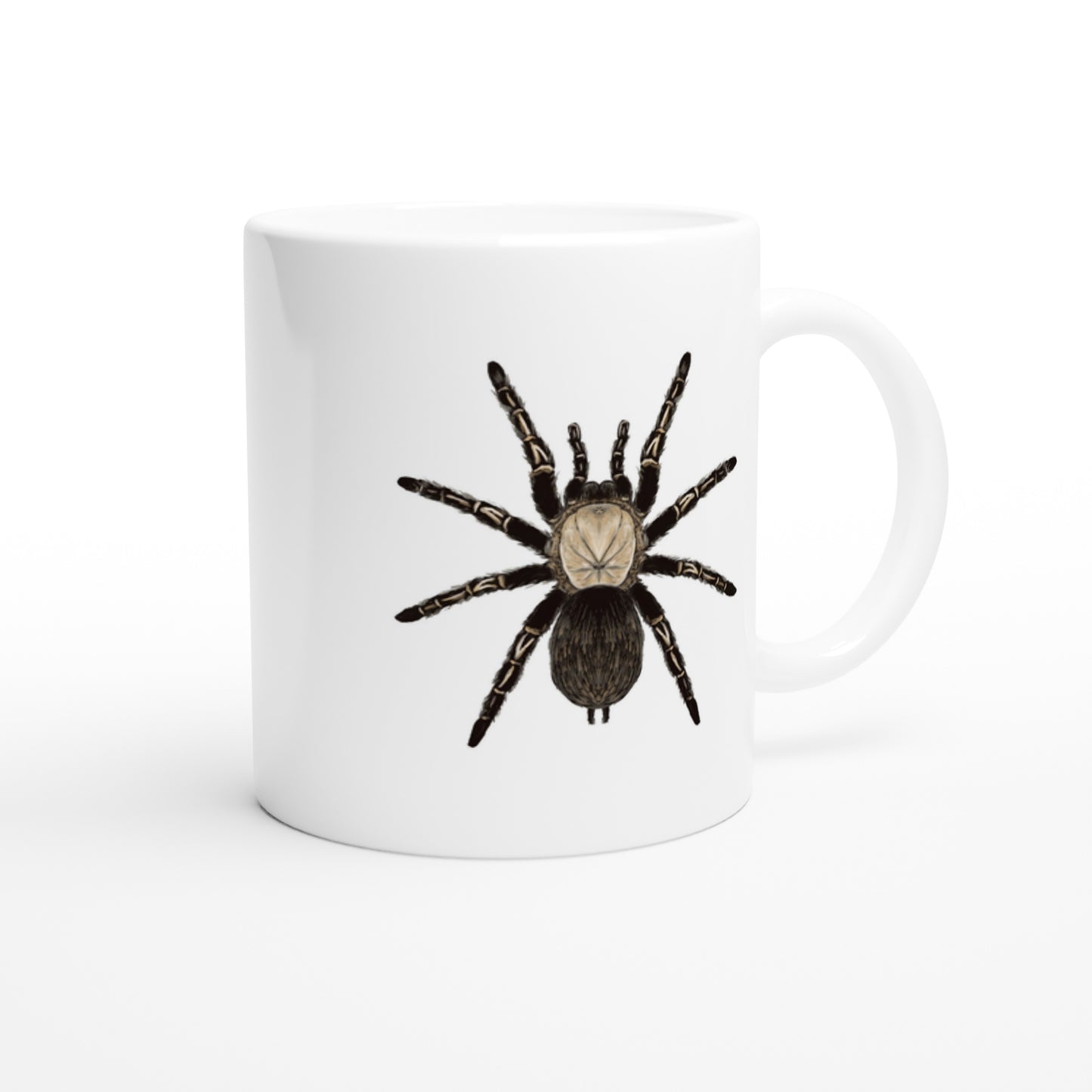Skeleton Tarantula, Ephebopus Murinus, Ceramic Graphic Mug from The Silk Ranch