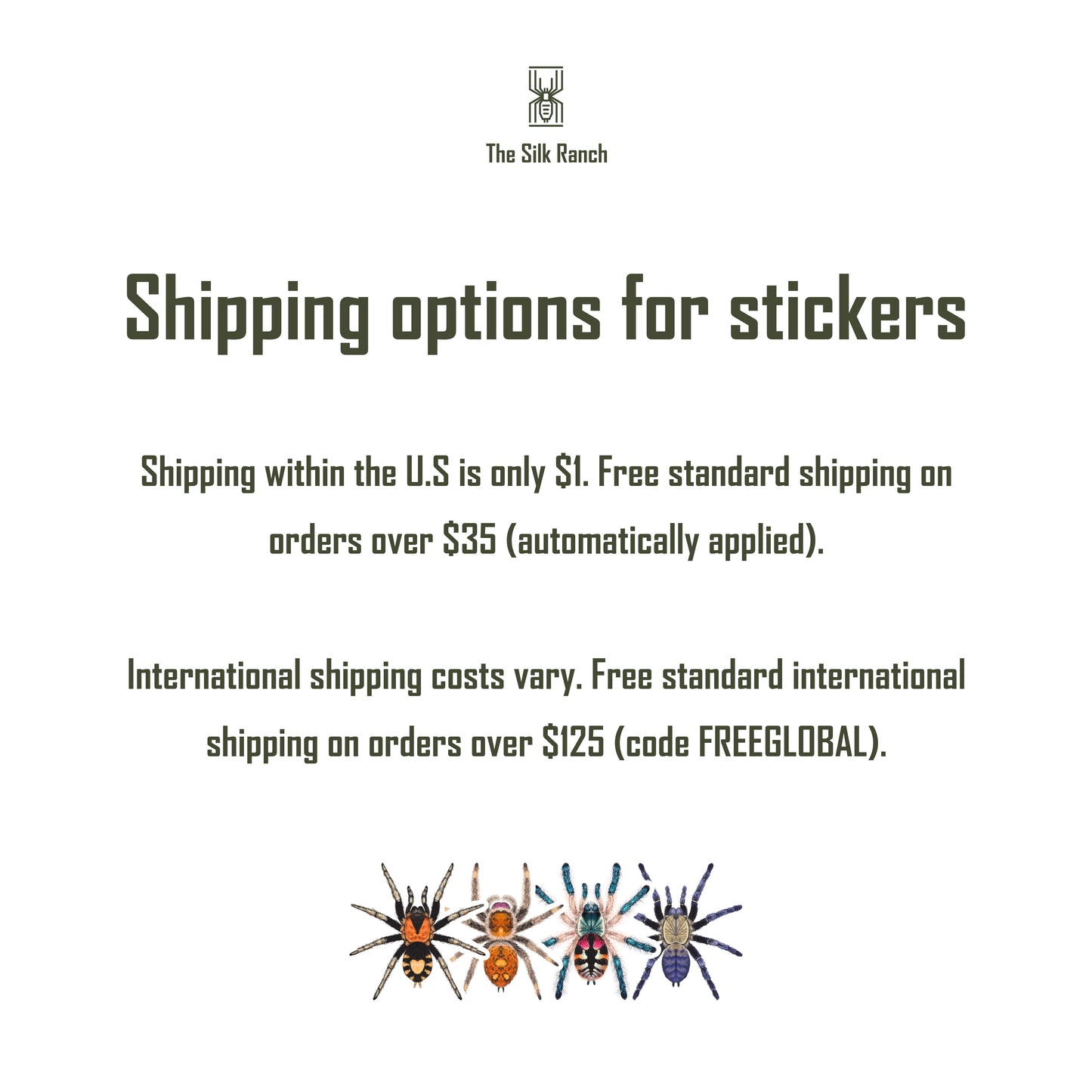 Vietnam Silver Tarantula Sticker, Ornithoctoninae Sp. Vietnam Silver Waterproof Vinyl Sticker from The Silk Ranch