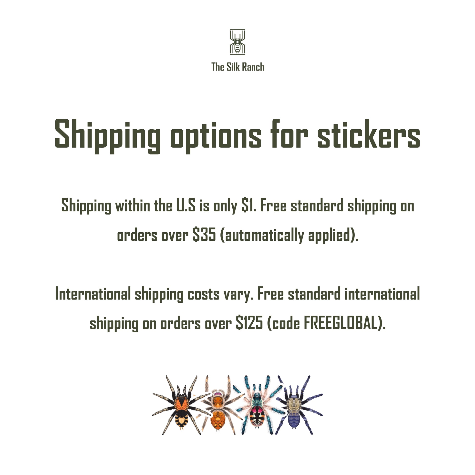 Vietnam Silver Tarantula Sticker, Ornithoctoninae Sp. Vietnam Silver Waterproof Vinyl Sticker from The Silk Ranch