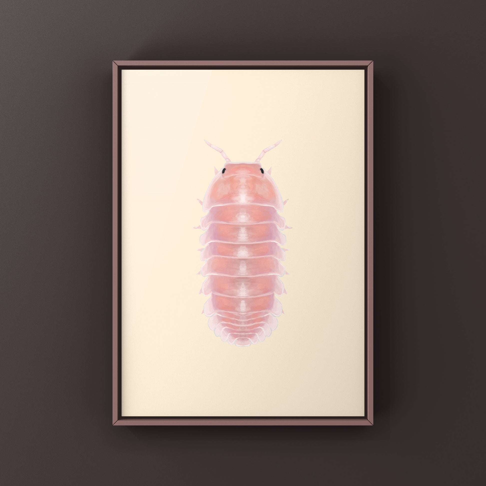Cherry Blossom Isopod, Cubaris sp. Cherry Blossom, Photographic Art Print from The Silk Ranch