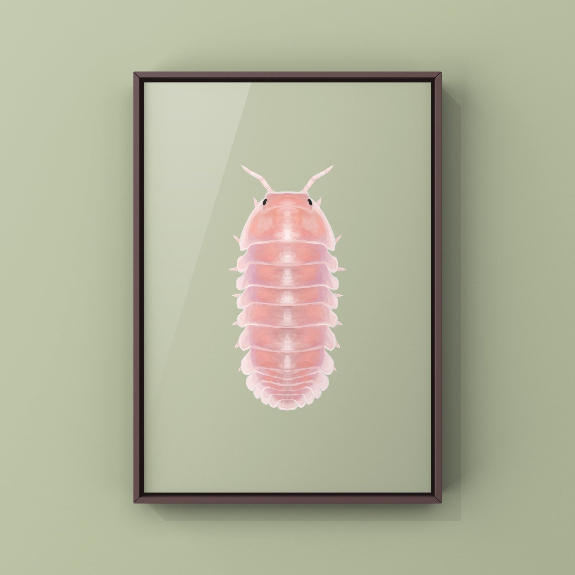 Cherry Blossom Isopod, Cubaris sp. Cherry Blossom, Photographic Art Print from The Silk Ranch