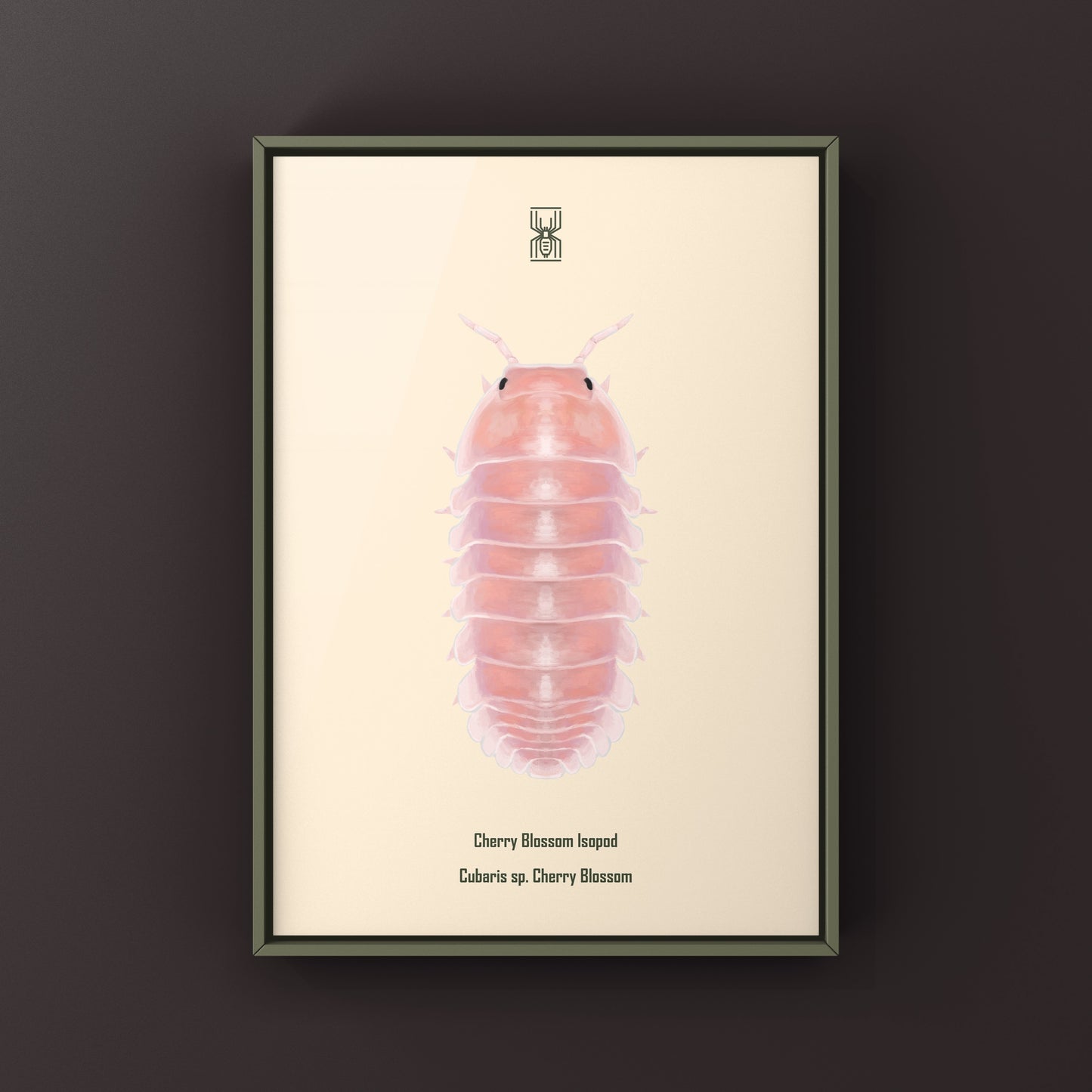 Cherry Blossom Isopod, Cubaris sp. Cherry Blossom, Photographic Art Print from The Silk Ranch
