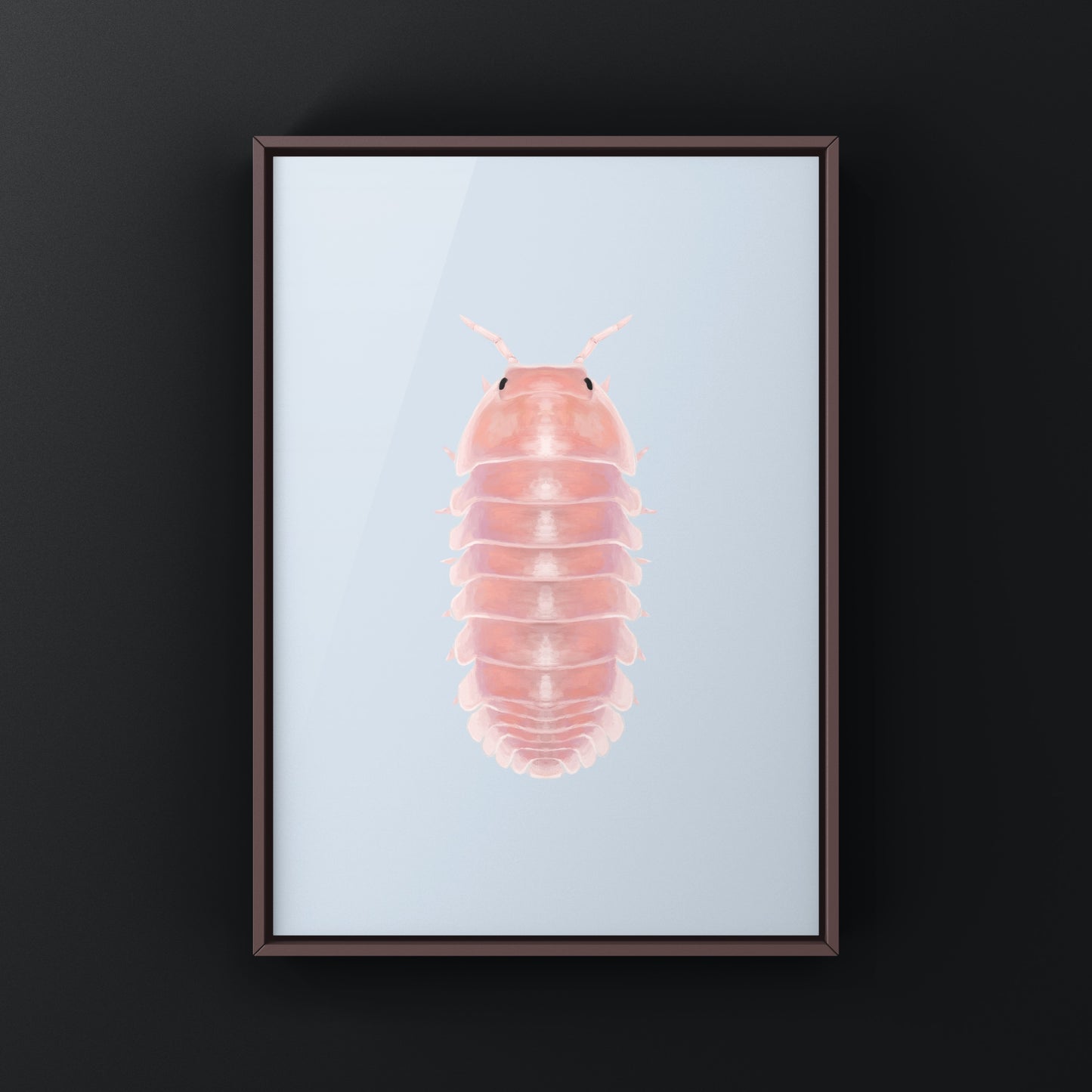 Cherry Blossom Isopod, Cubaris sp. Cherry Blossom, Photographic Art Print from The Silk Ranch