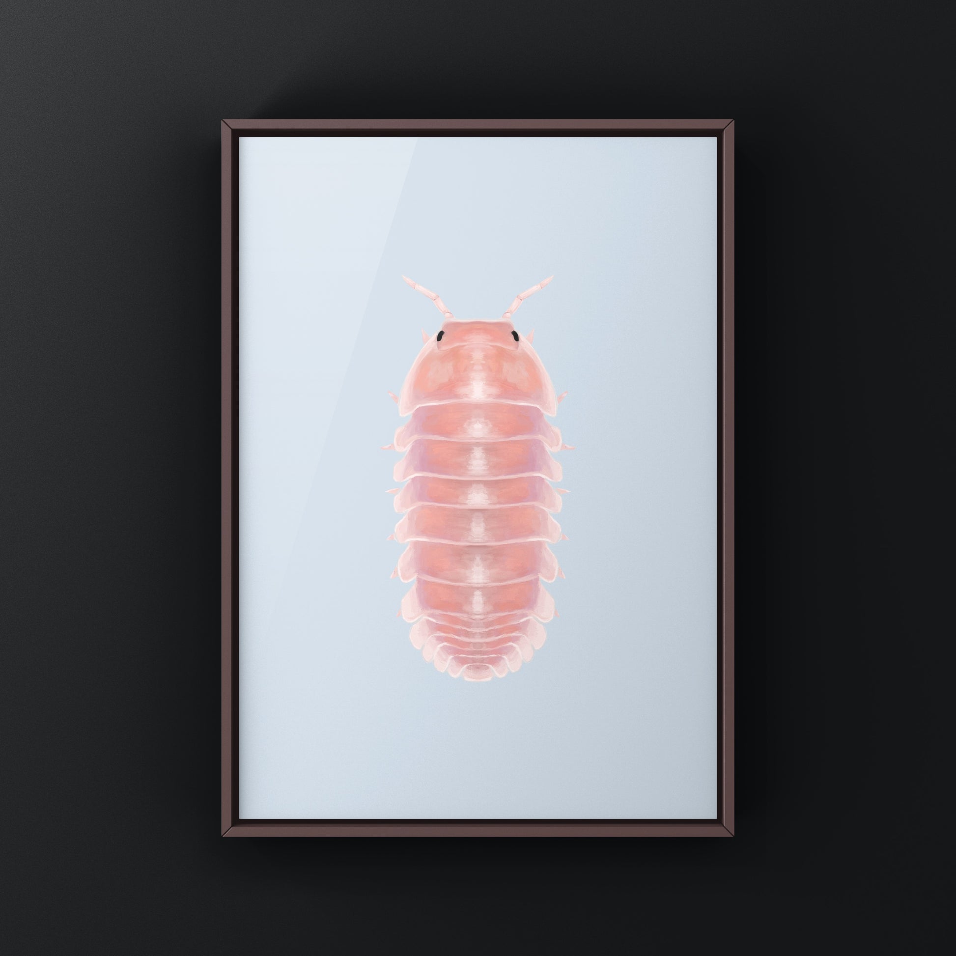 Cherry Blossom Isopod, Cubaris sp. Cherry Blossom, Photographic Art Print from The Silk Ranch