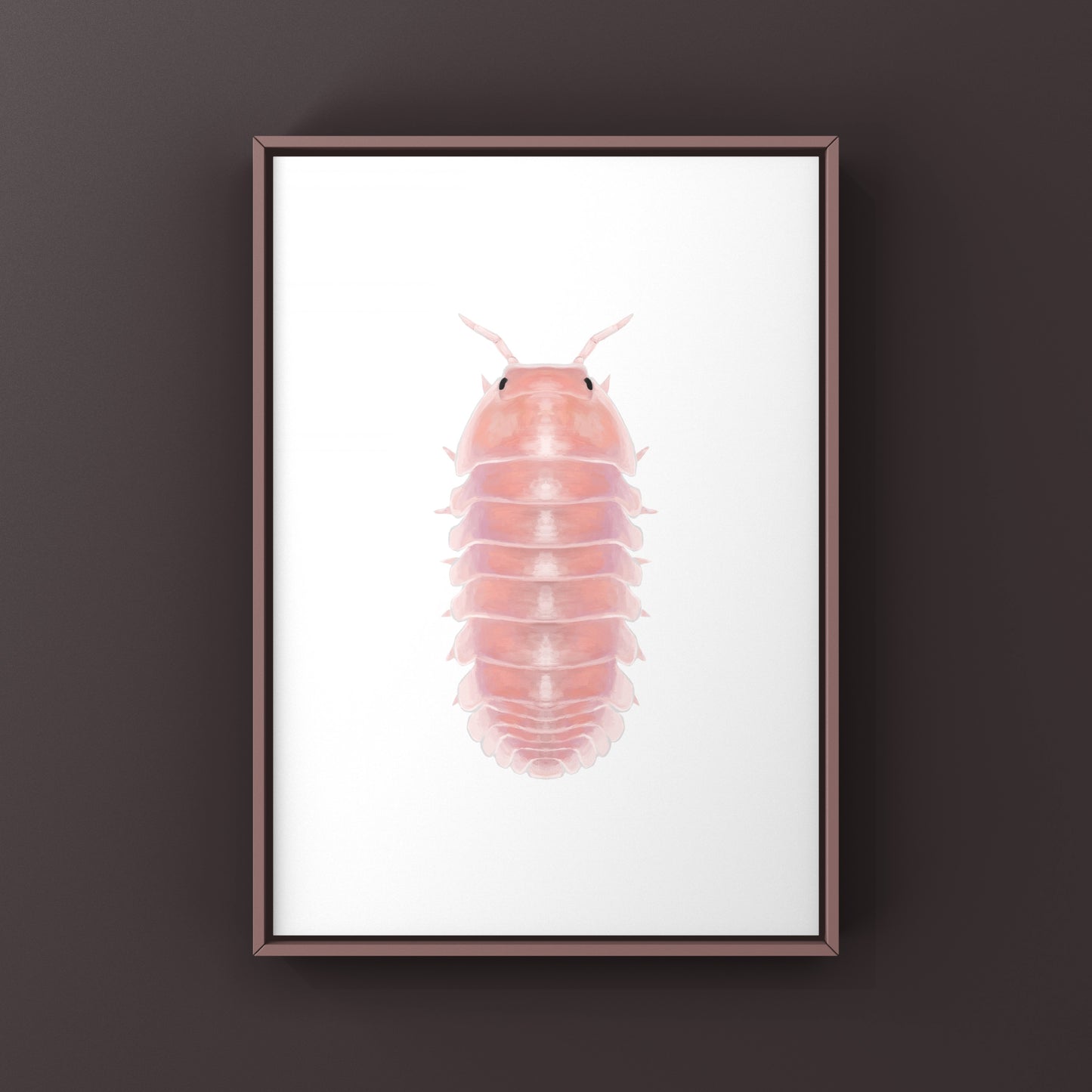 Cherry Blossom Isopod, Cubaris sp. Cherry Blossom, Photographic Art Print from The Silk Ranch