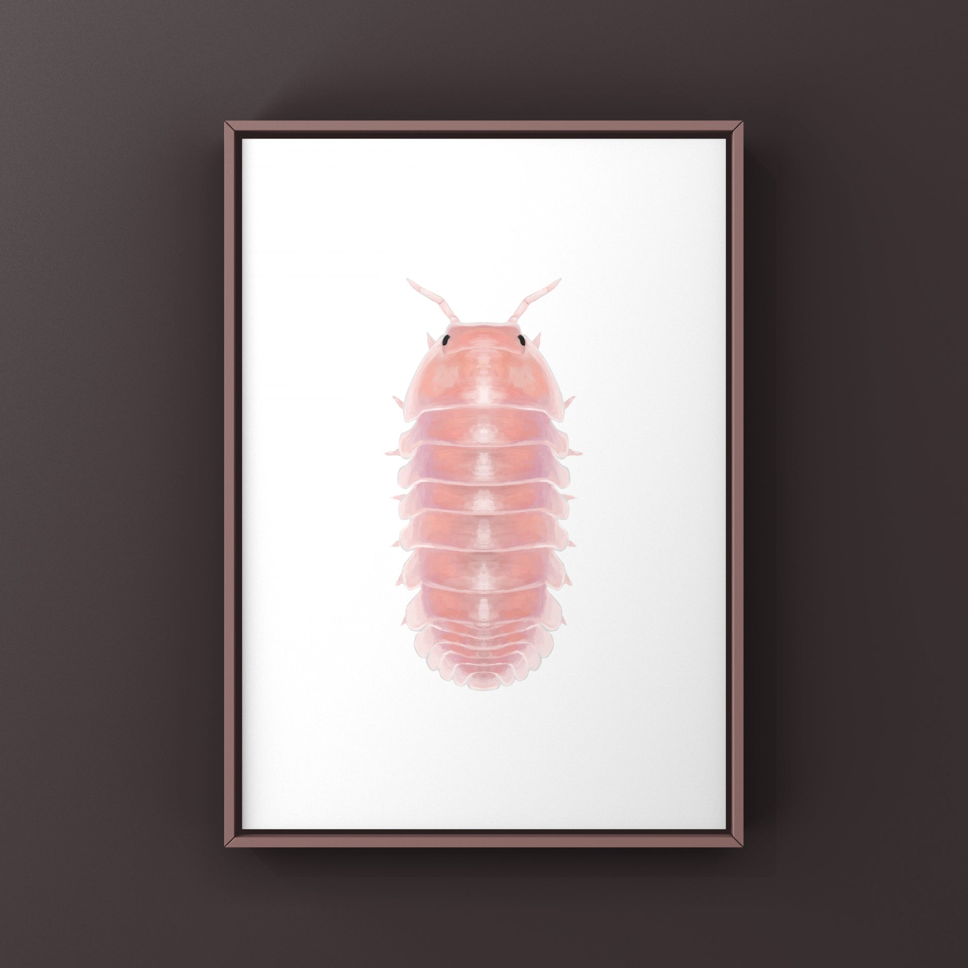 Cherry Blossom Isopod, Cubaris sp. Cherry Blossom, Photographic Art Print from The Silk Ranch