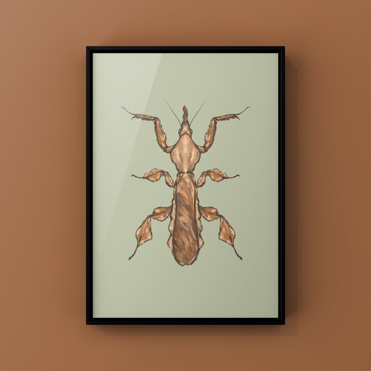 Ghost Mantis, Phyllocrania Paradoxa, Photographic Art Print from The Silk Ranch