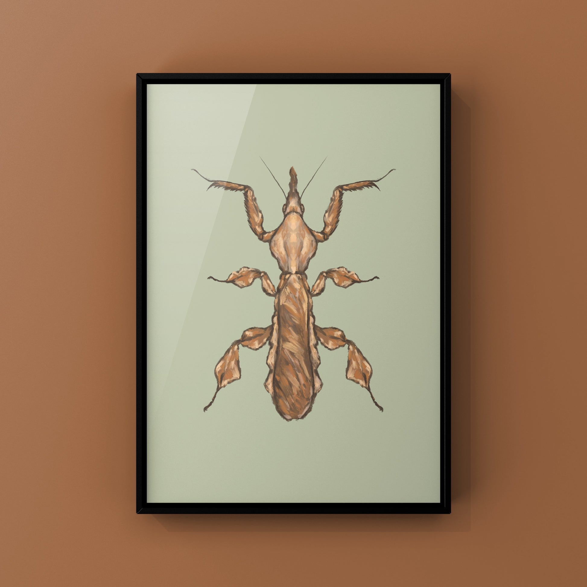 Ghost Mantis, Phyllocrania Paradoxa, Photographic Art Print from The Silk Ranch