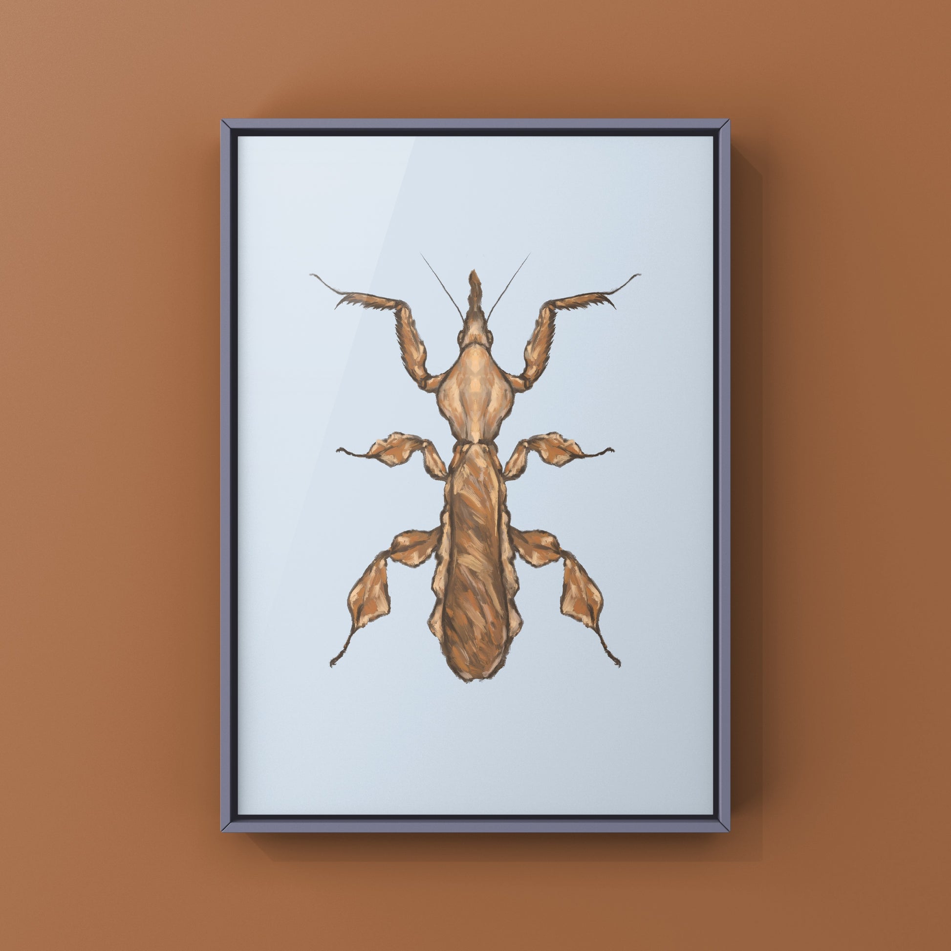 Ghost Mantis, Phyllocrania Paradoxa, Photographic Art Print from The Silk Ranch