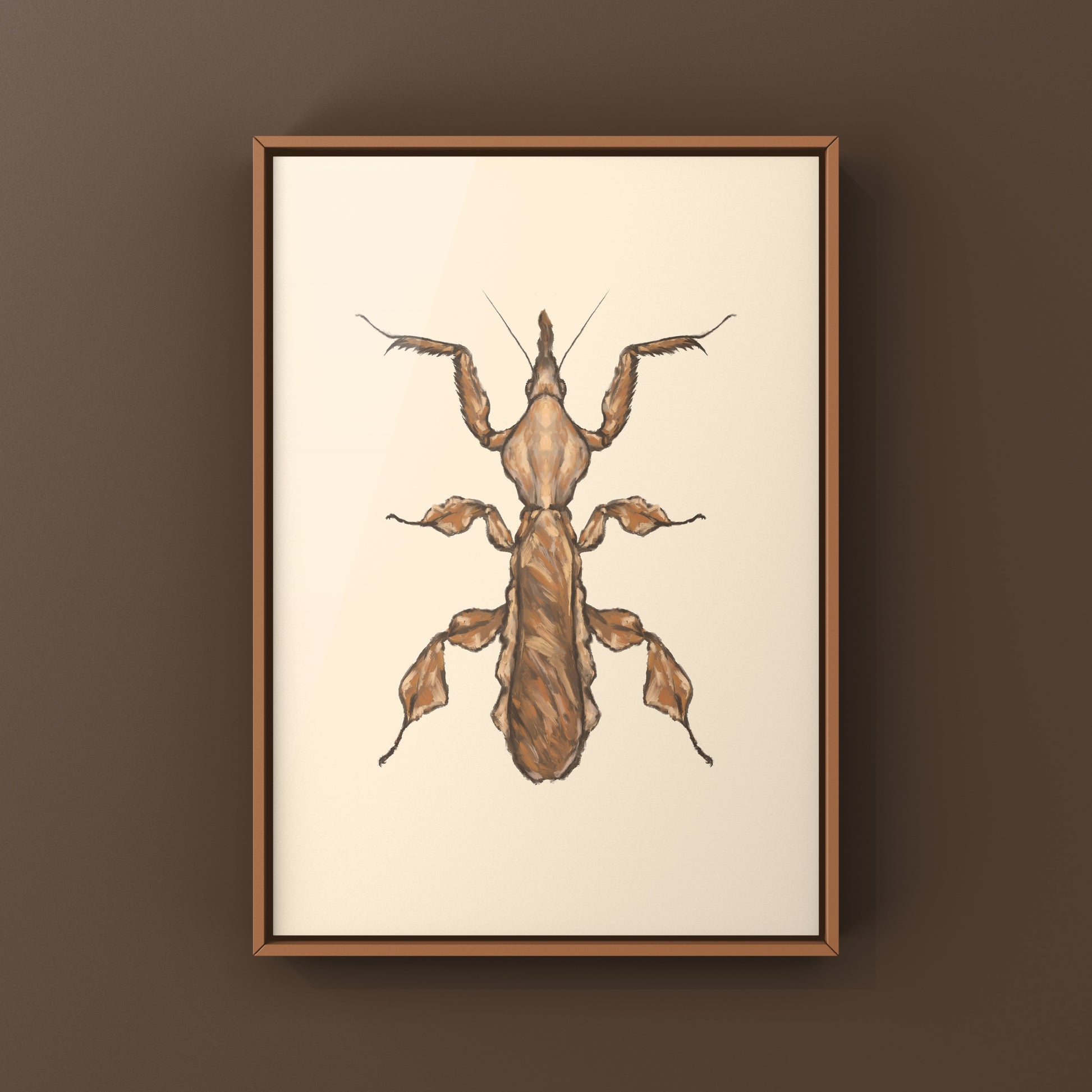 Ghost Mantis, Phyllocrania Paradoxa, Photographic Art Print from The Silk Ranch