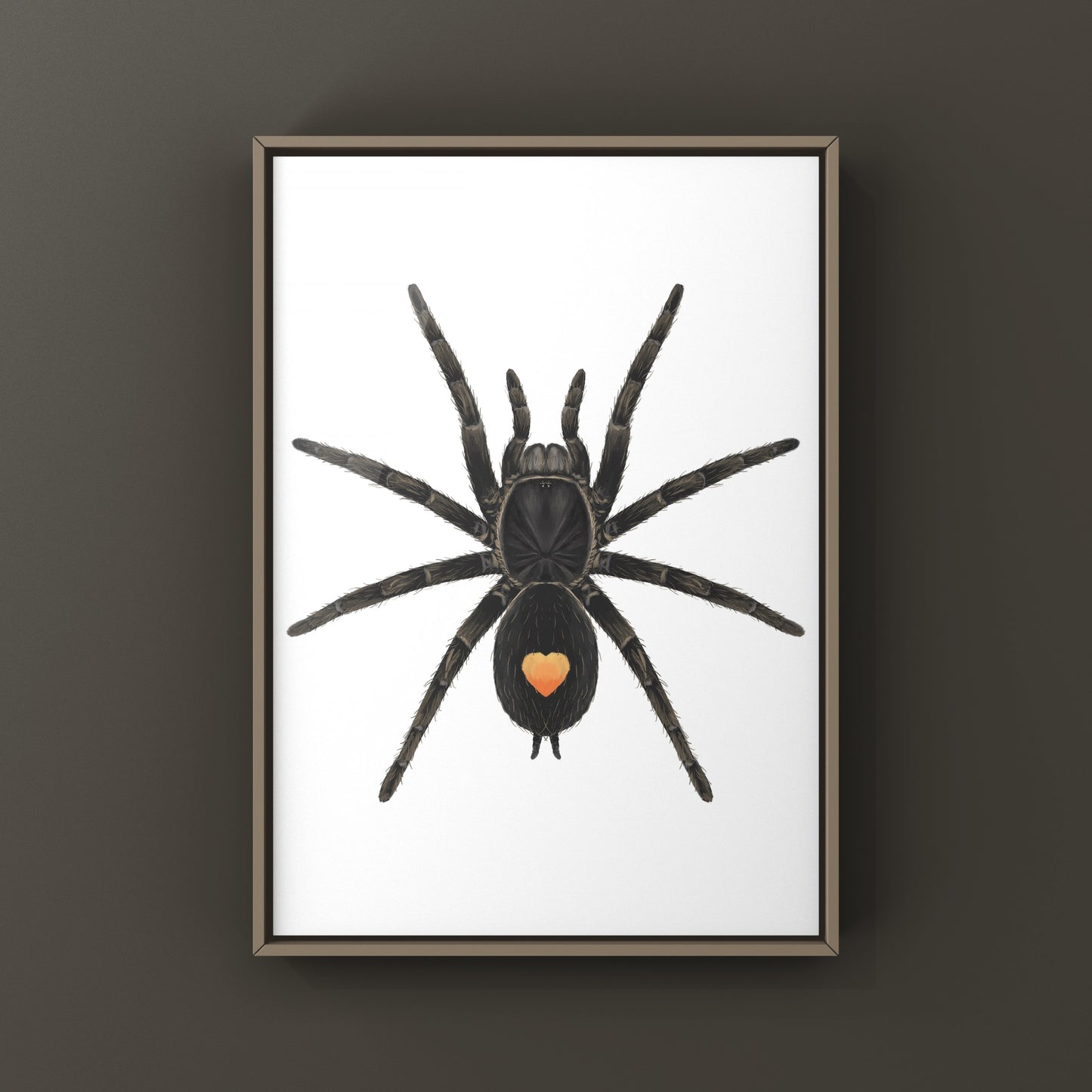 Golden Heart Dwarf Tarantula, Cyriocosmus sp. Oronegro, Photographic Art Print from The Silk Ranch