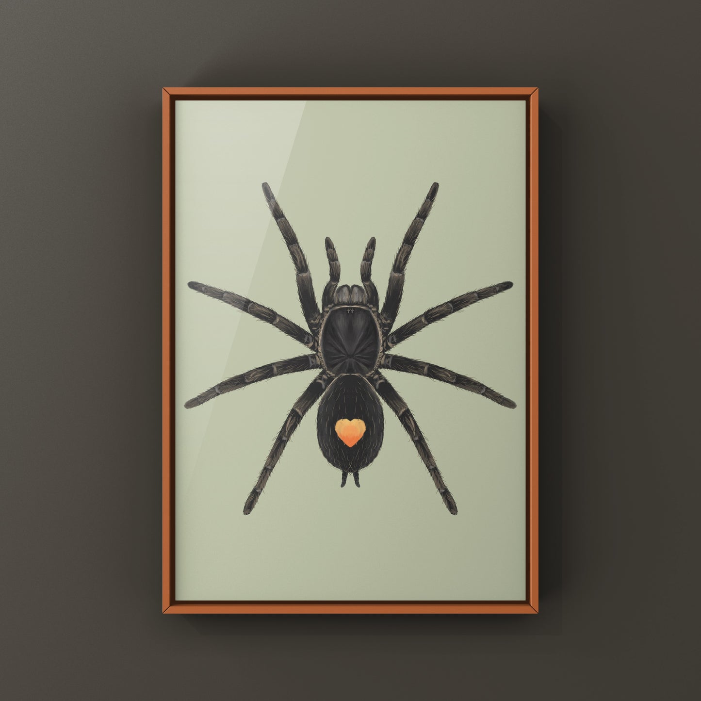 Golden Heart Dwarf Tarantula, Cyriocosmus sp. Oronegro, Photographic Art Print from The Silk Ranch