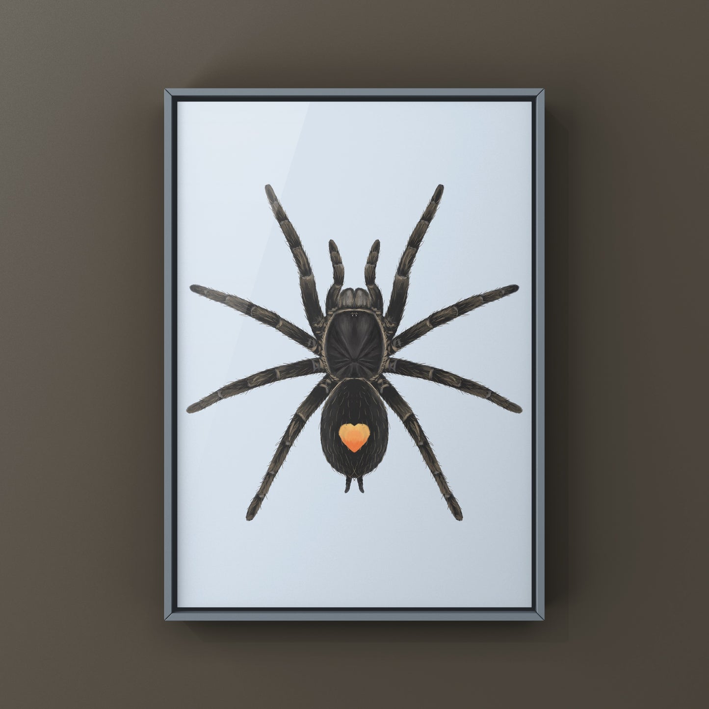 Golden Heart Dwarf Tarantula, Cyriocosmus sp. Oronegro, Photographic Art Print from The Silk Ranch