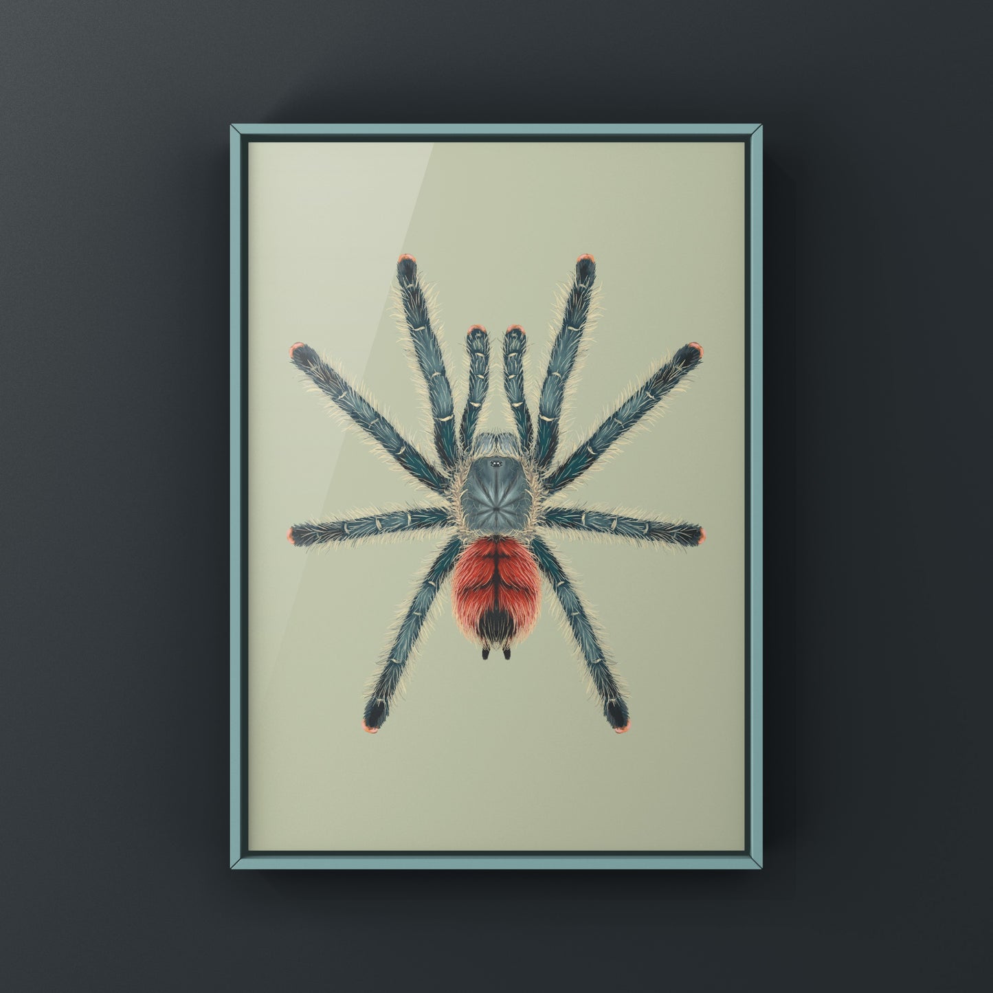 Grizzly Pinktoe Tarantula, Avicularia Variegata, Photographic Art Print from The Silk Ranch