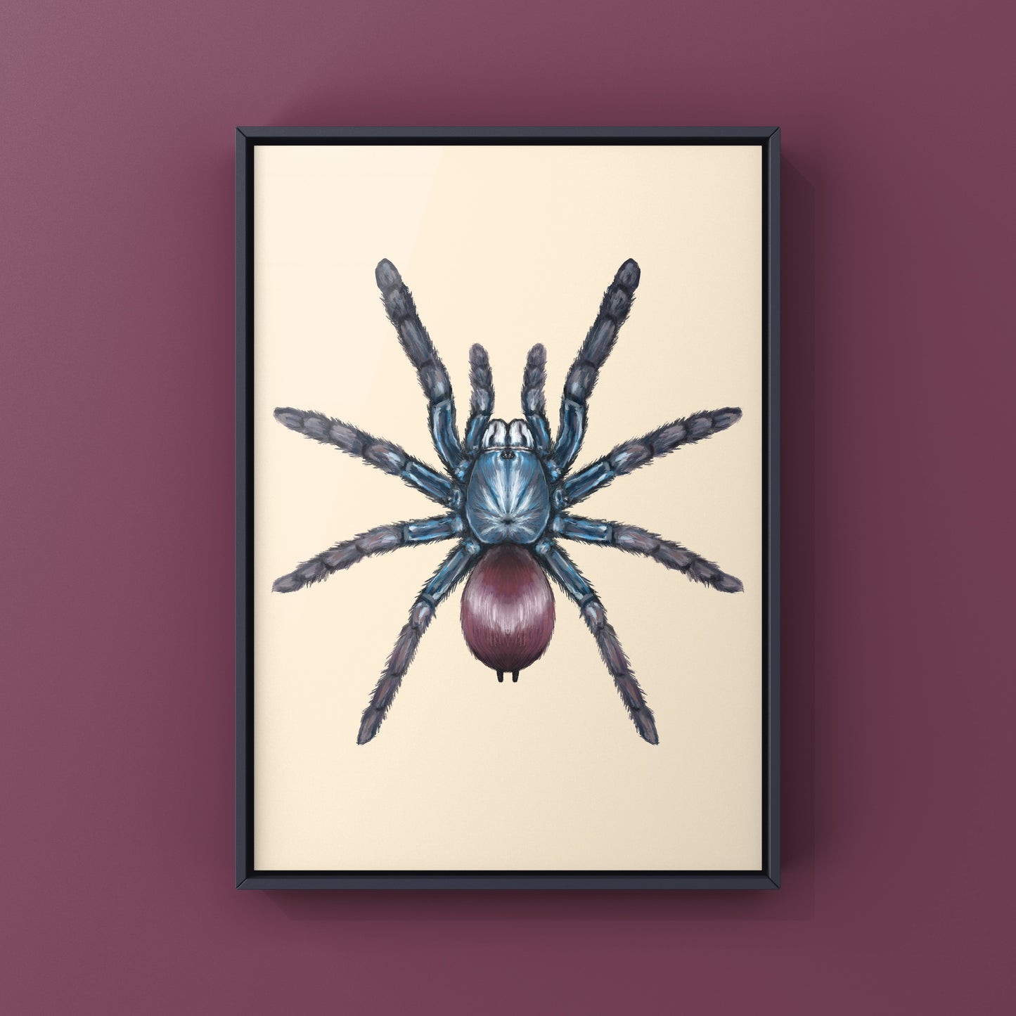 Indian Rainbow LSD Tarantula, Cilantica Devamatha, Photographic Art Print from The Silk Ranch