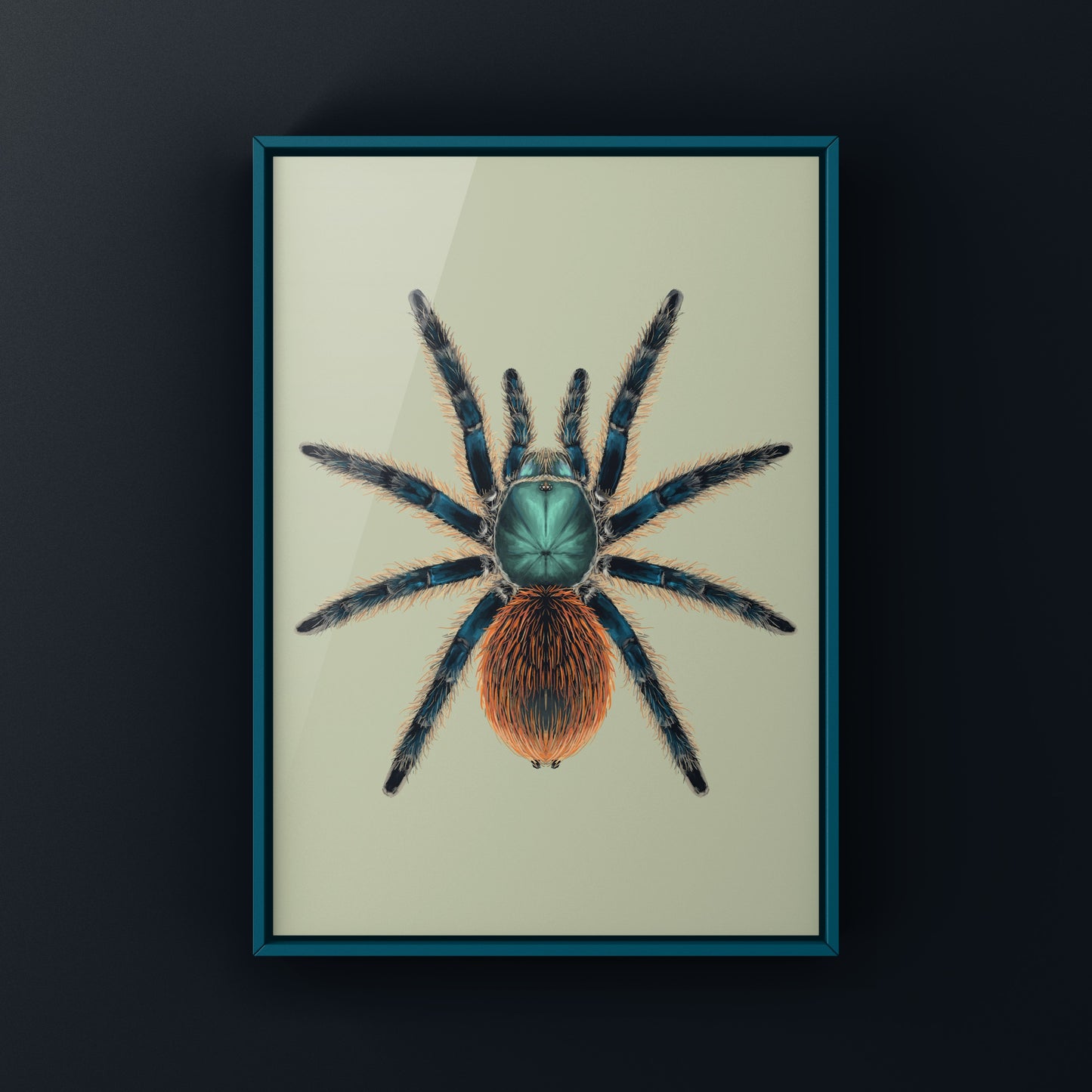 Jade Fuego Tarantula, Aphonopelma Mooreae, Photographic Art Print from The Silk Ranch