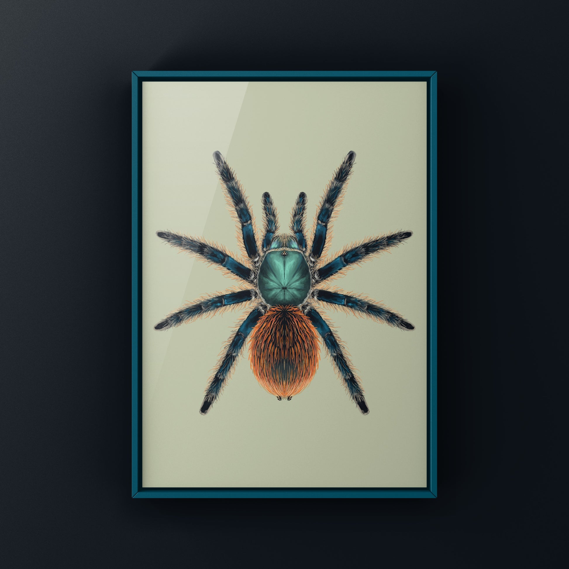 Jade Fuego Tarantula, Aphonopelma Mooreae, Photographic Art Print from The Silk Ranch