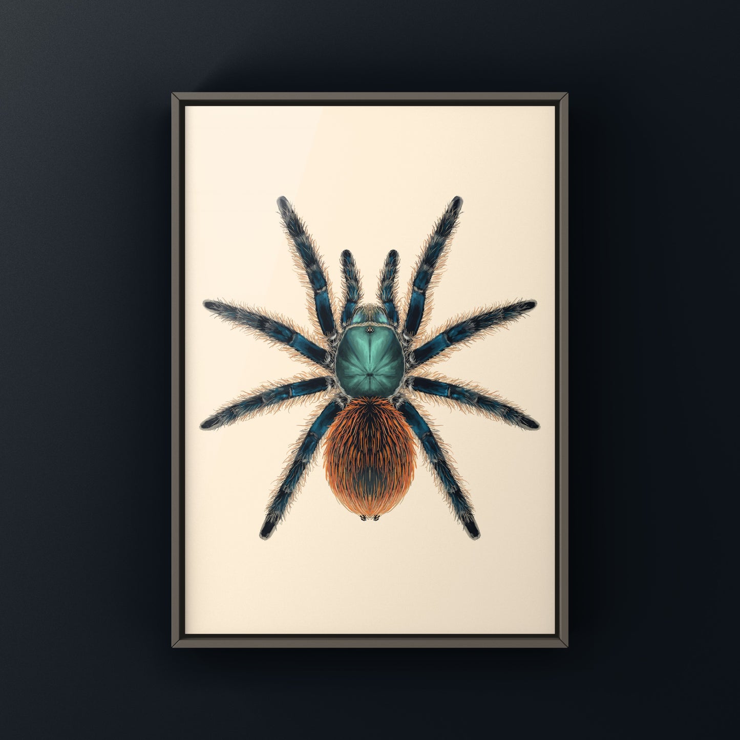 Jade Fuego Tarantula, Aphonopelma Mooreae, Photographic Art Print from The Silk Ranch
